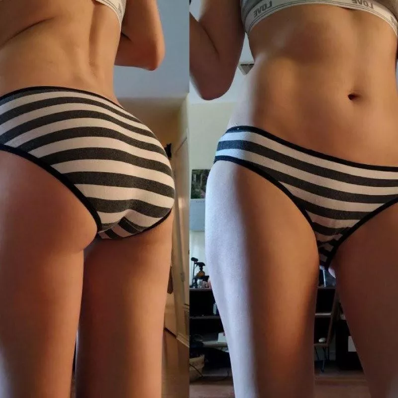 Black and white stripes