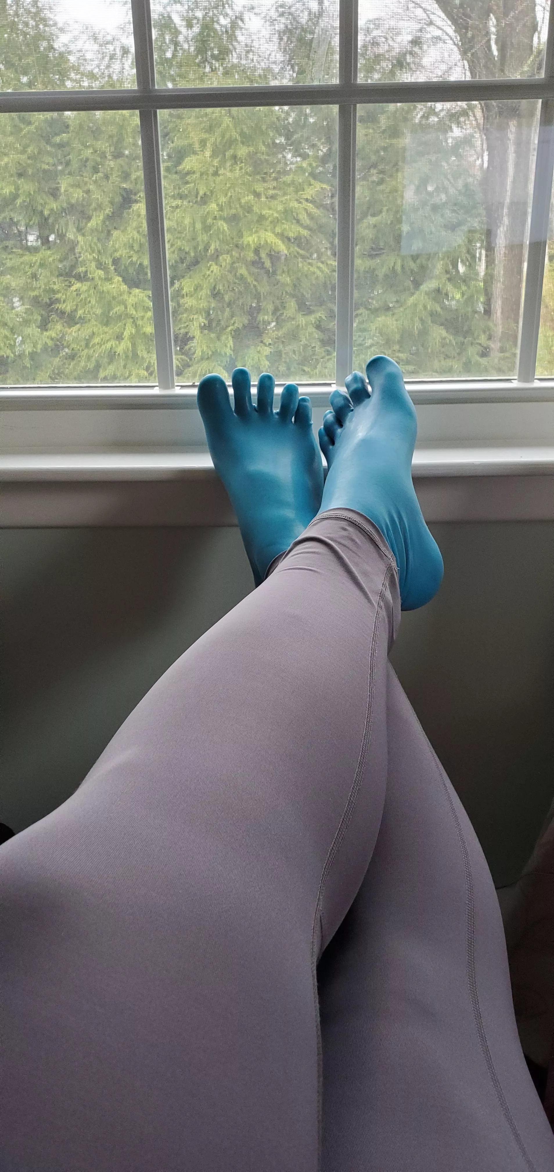 Blue latex toe socks and gray tights