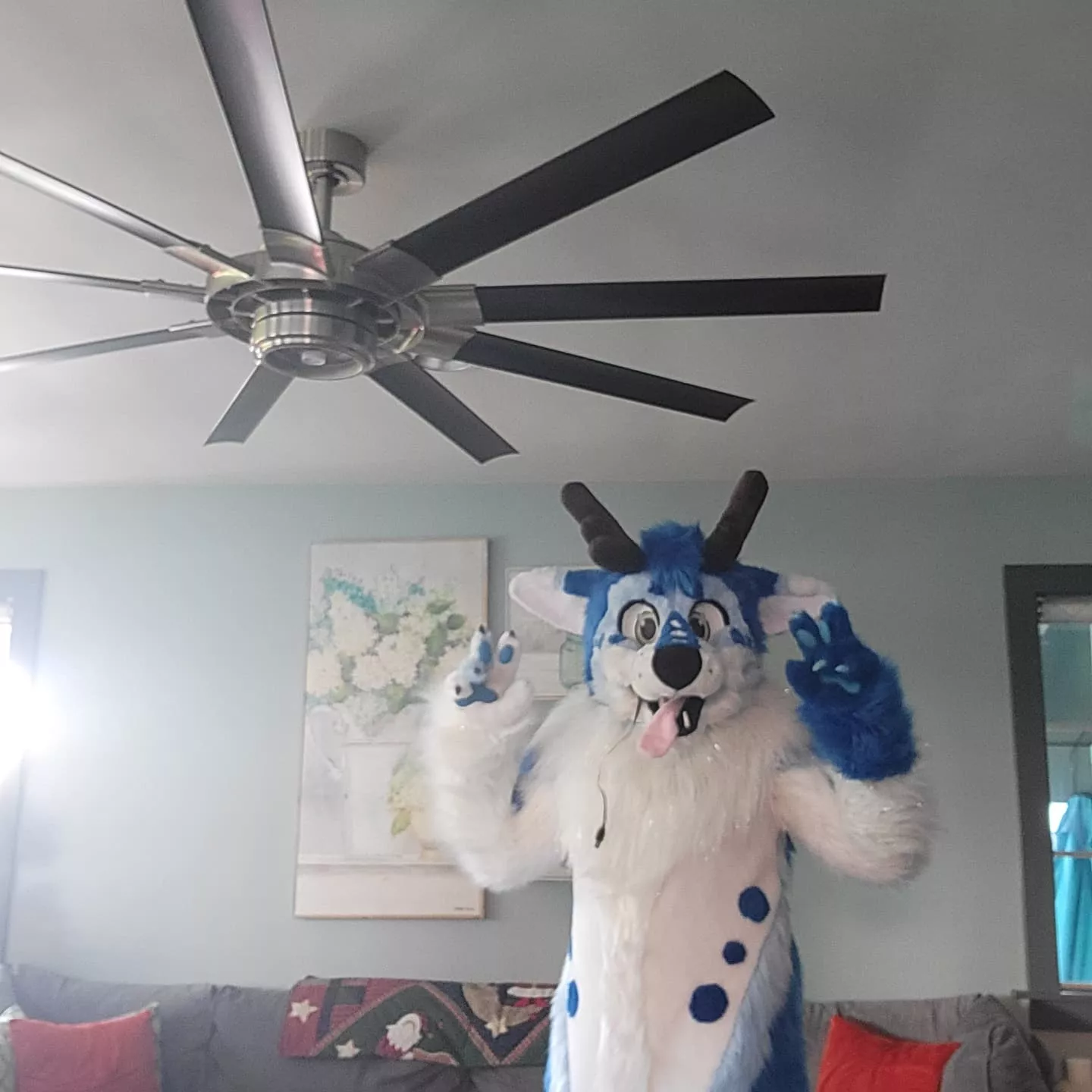 Bought my first fursuit!