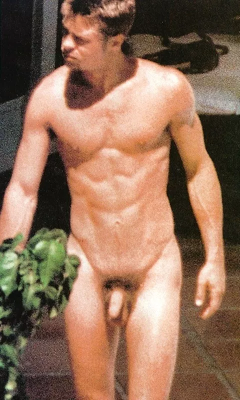 Brad Pitt's naked dick