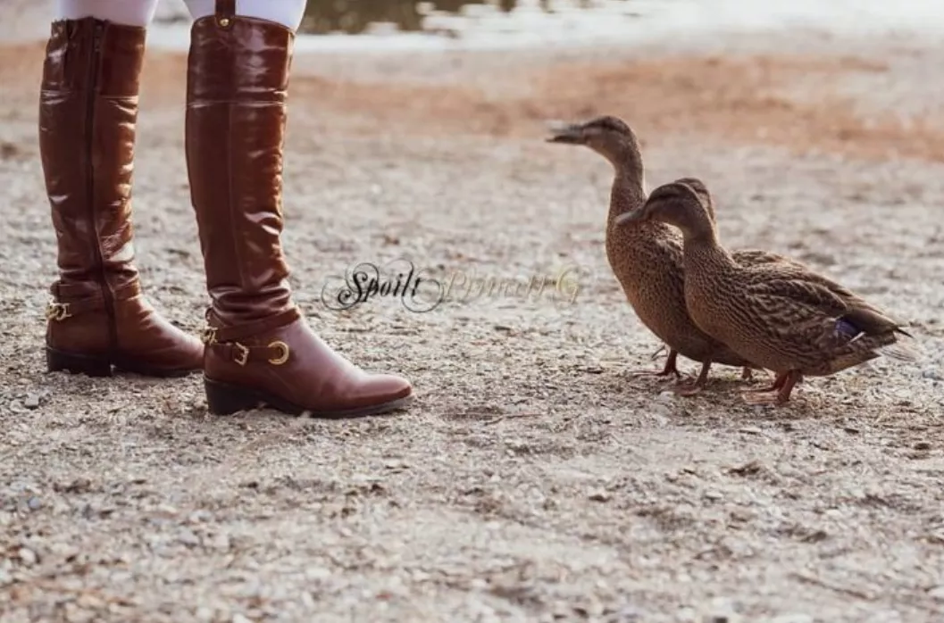 Brown leather riding boots even these ducks admire them ðŸ˜