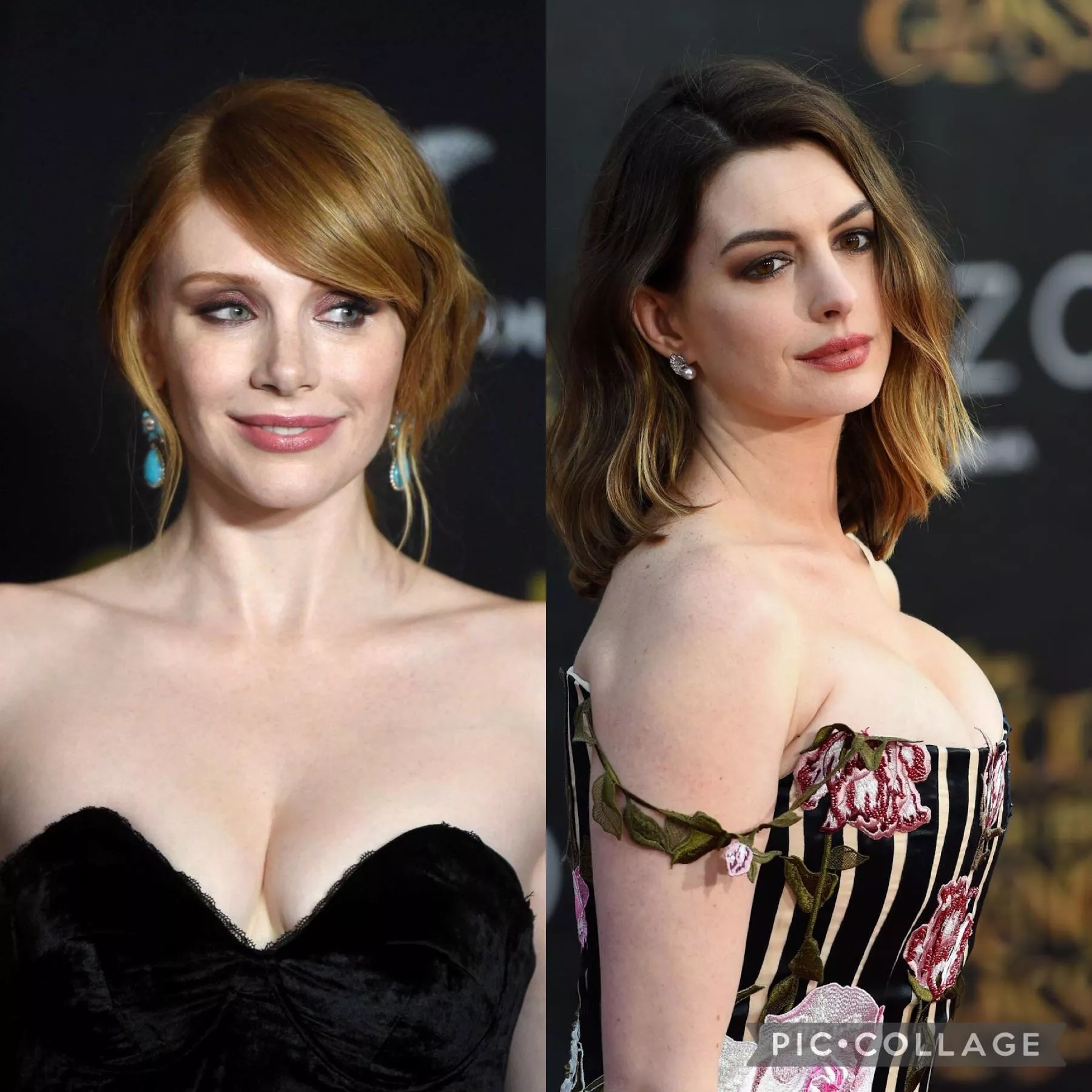 Bryce Dallas Howard. Anne Hathaway. Pick one.