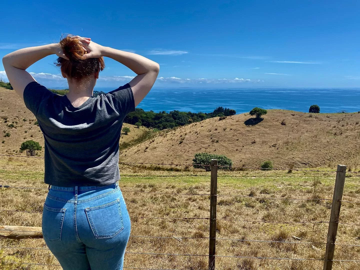 Bryce Dallas Howard has the best ass