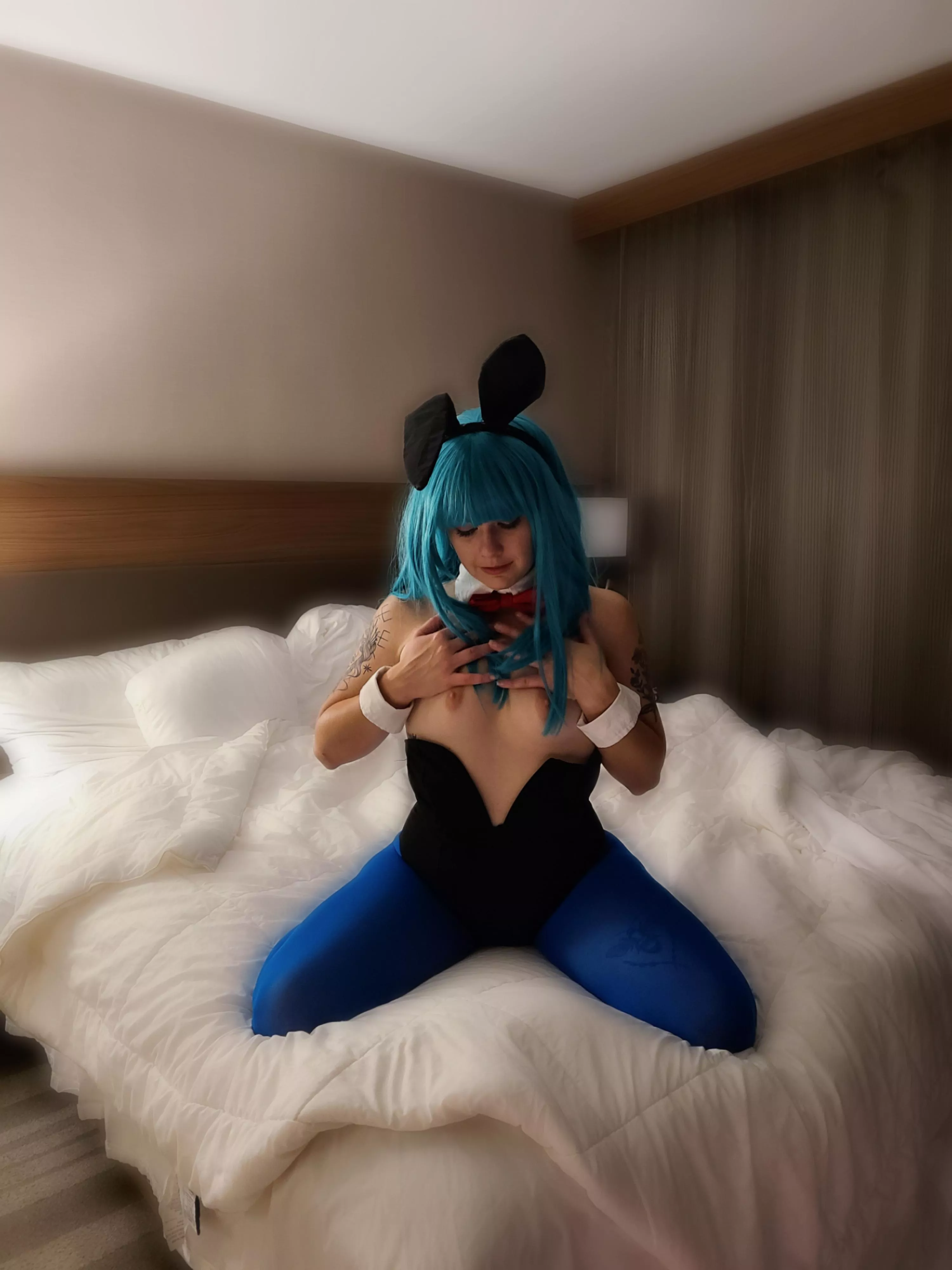 Bulma bunny 🖤