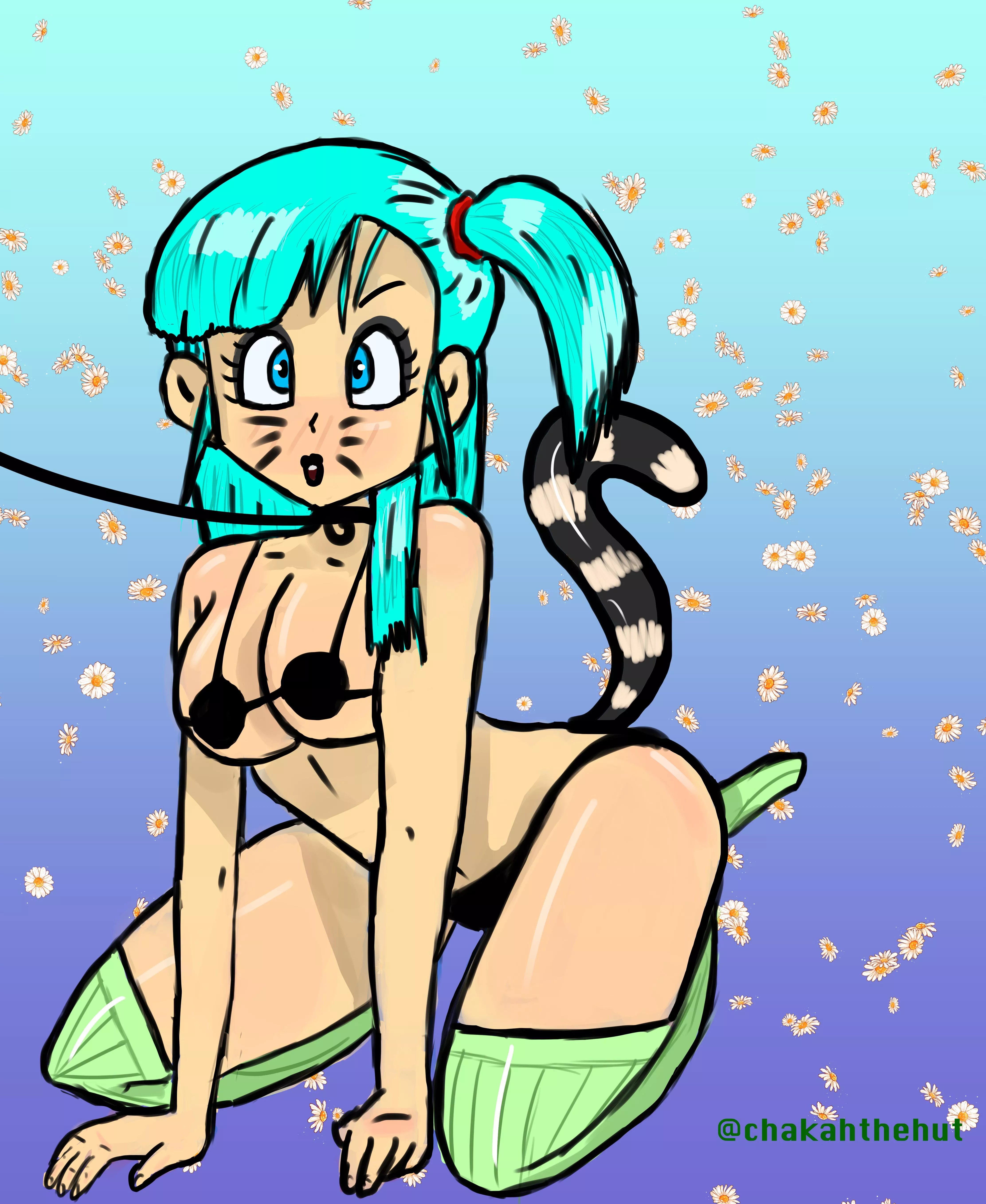 Bulmaâ€™s a good kitty