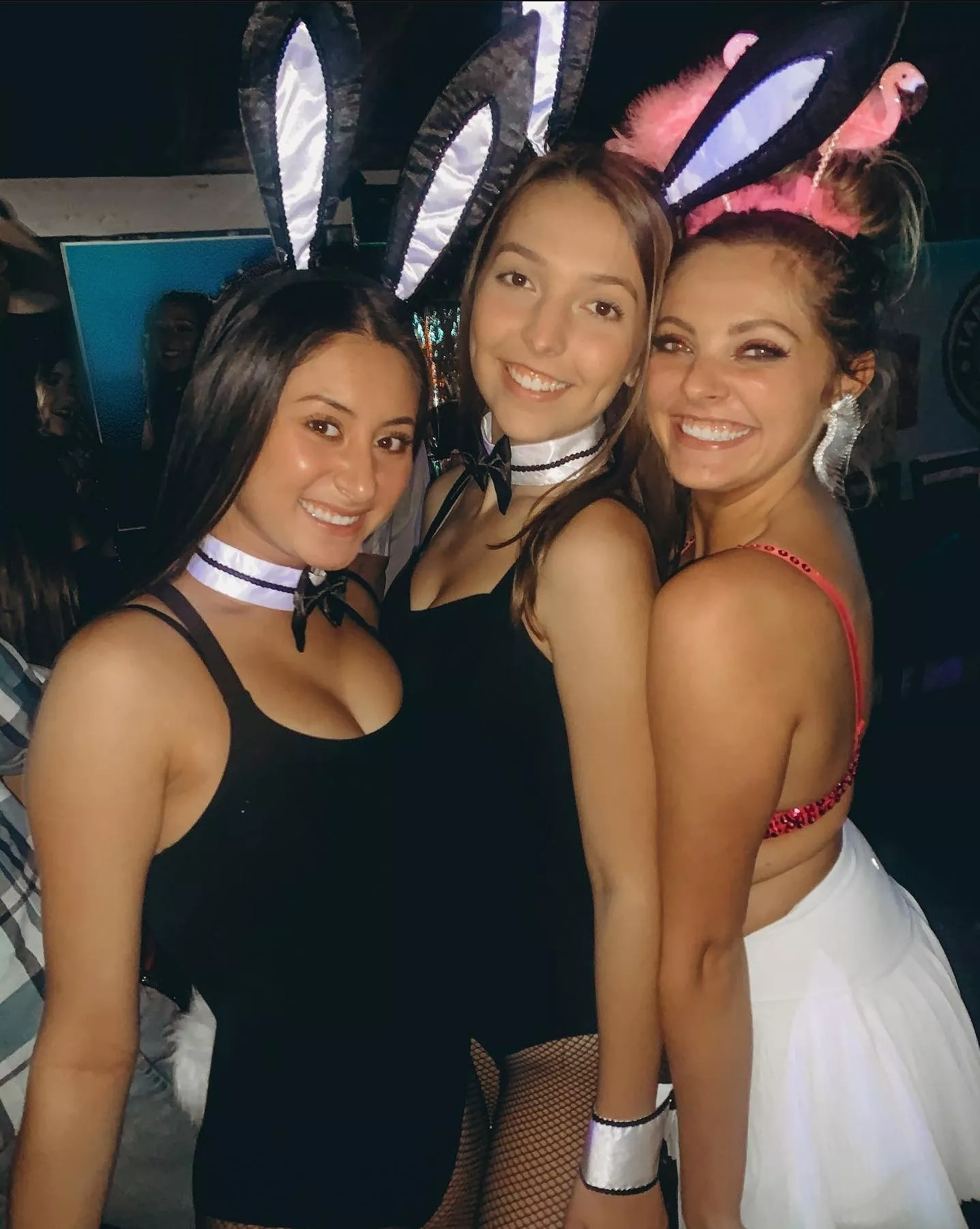 Bunnies