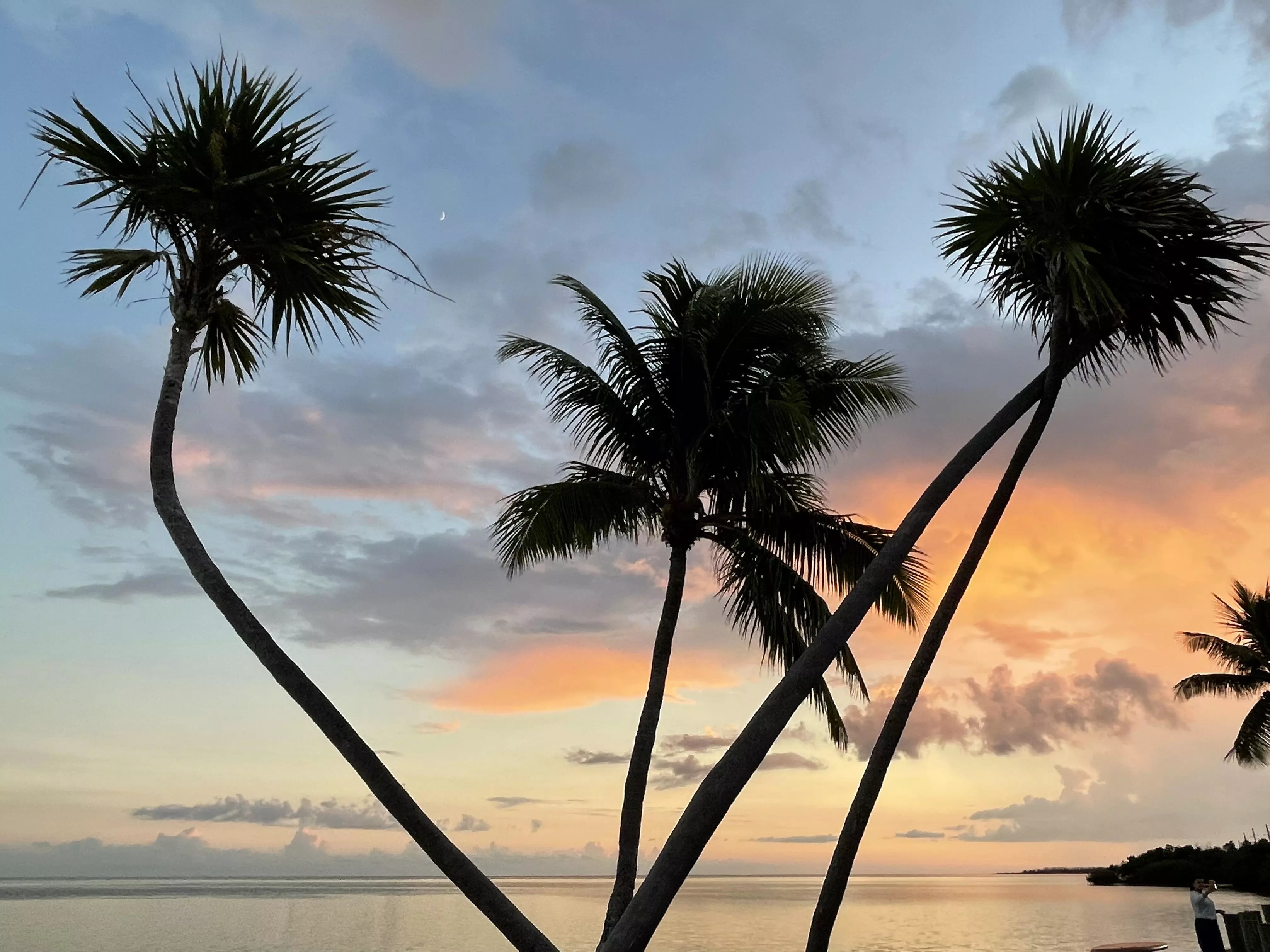 Can't beat that with a stick! Key West, Florida