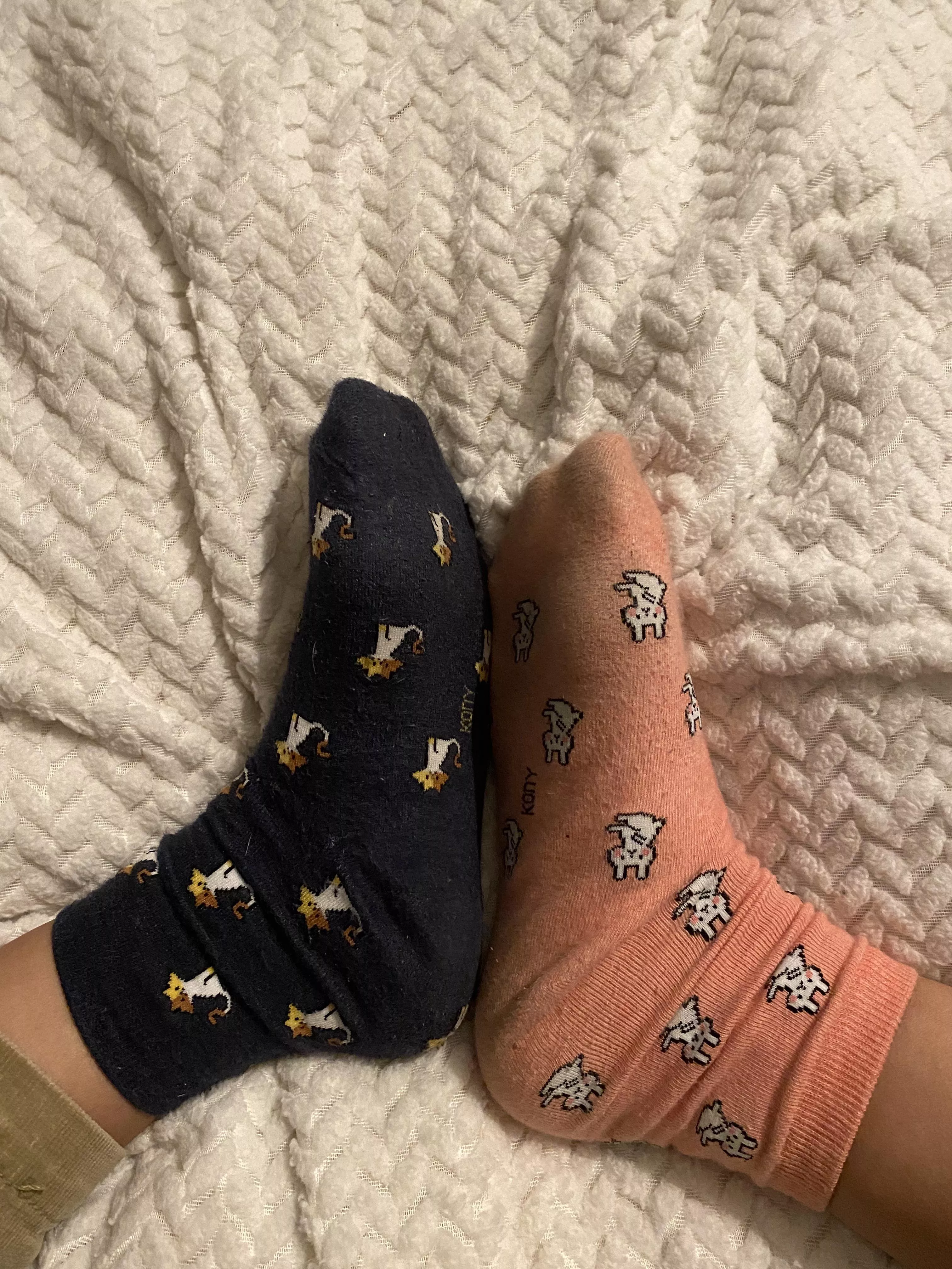 Can’t find any matching socks :/ anyone wanna help