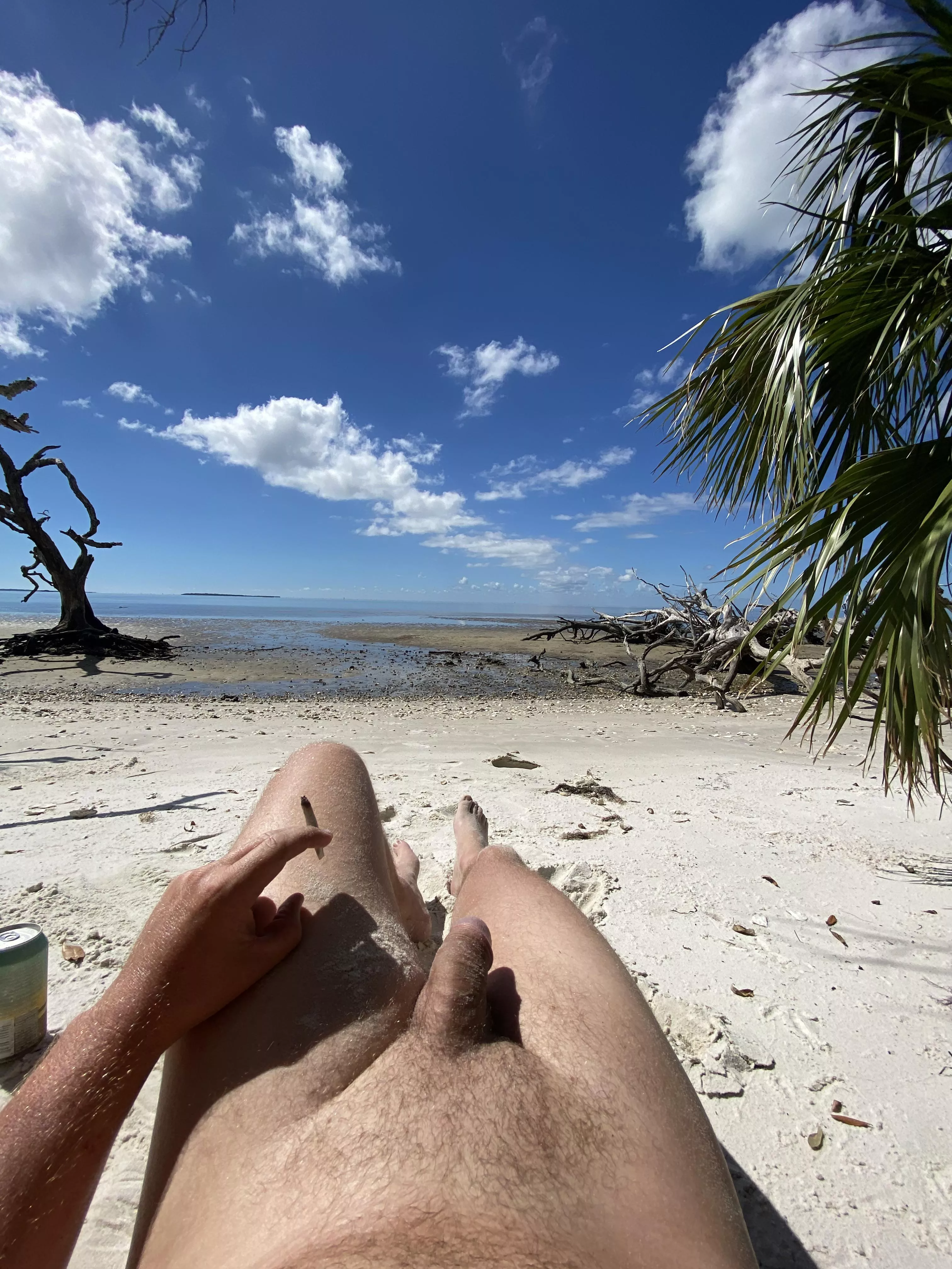 Canâ€™t go to a nude beach without bringing the joint [m]