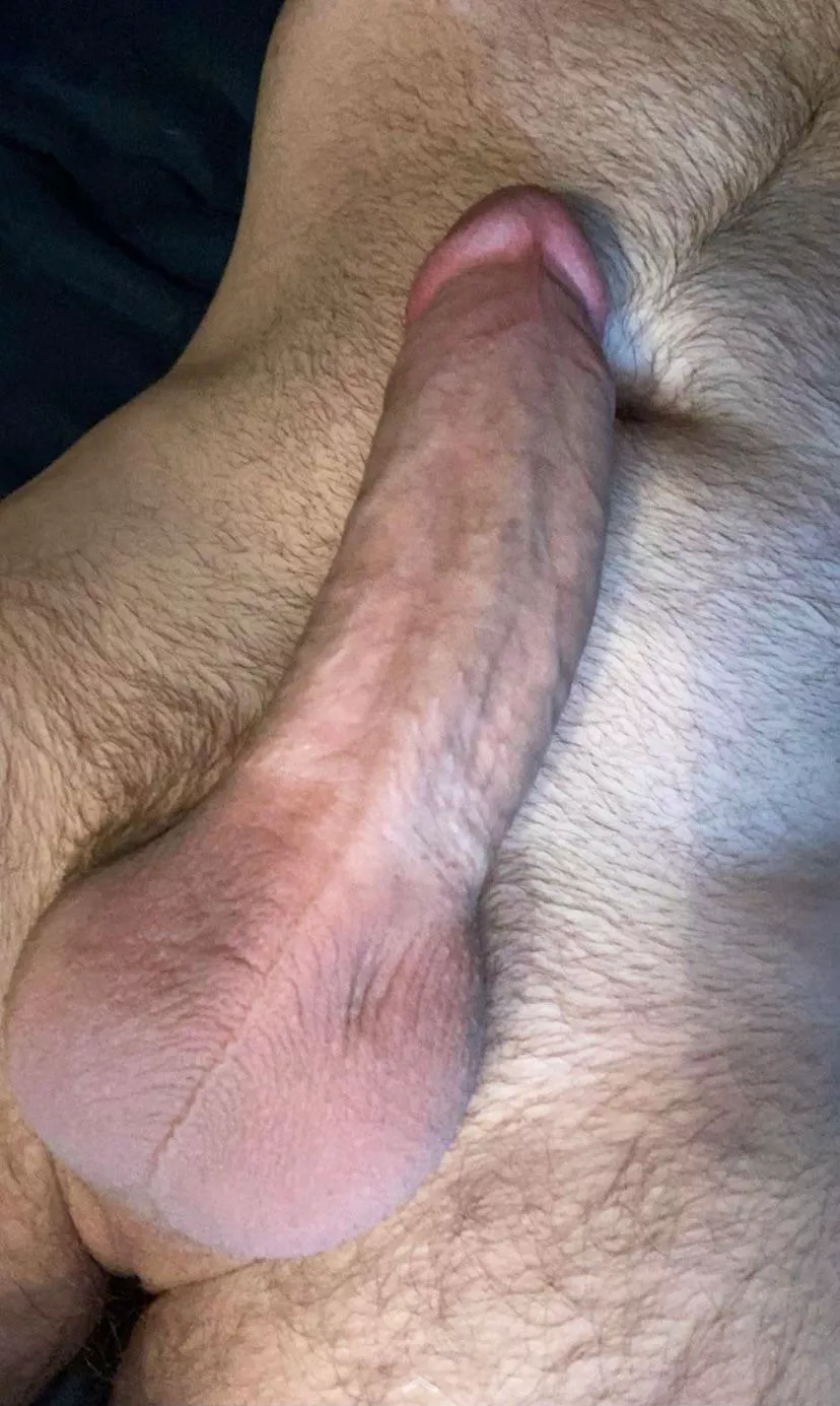 Canâ€™t sleep. Have a dick pic.