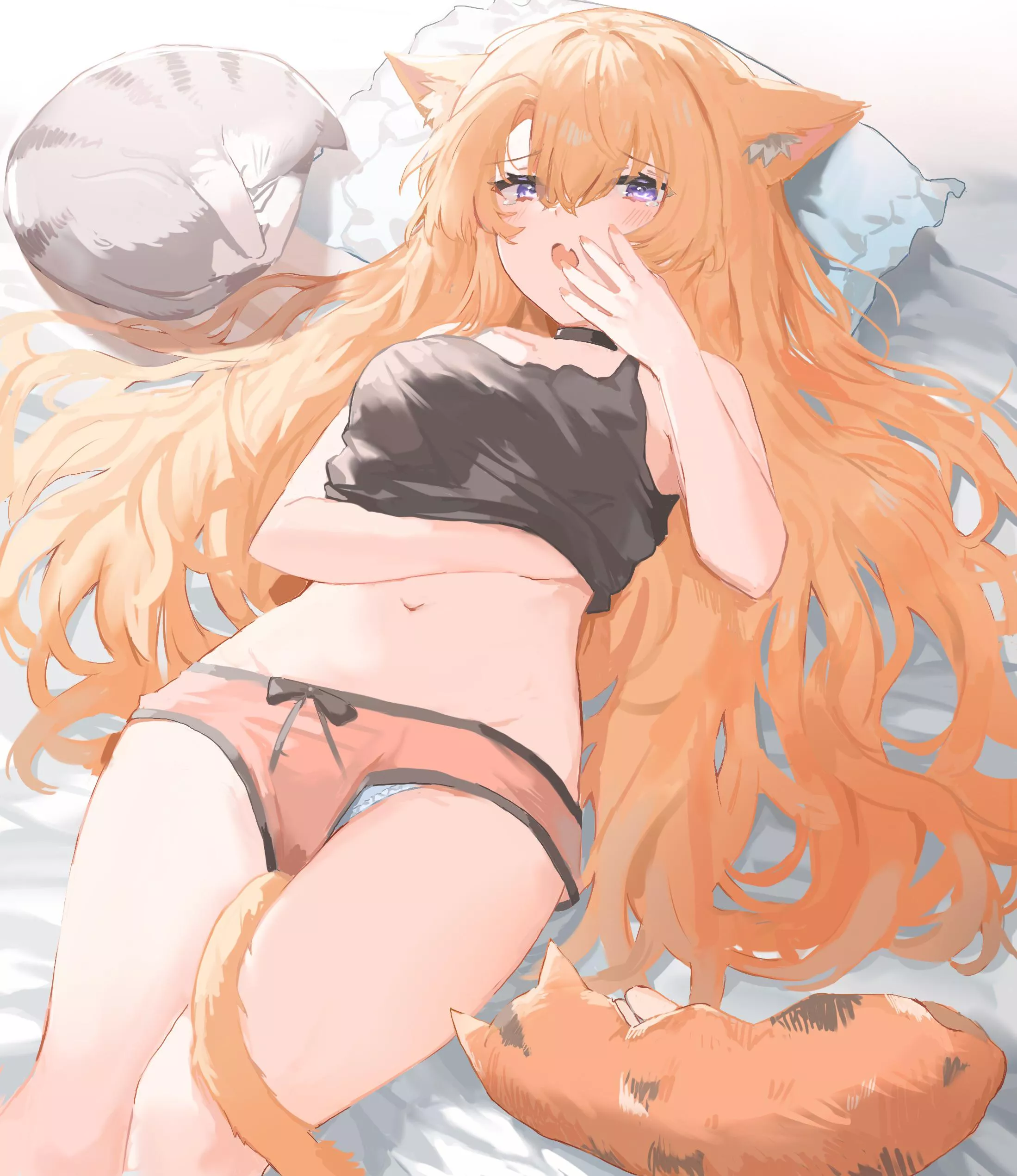 Cats and Panties [Original]