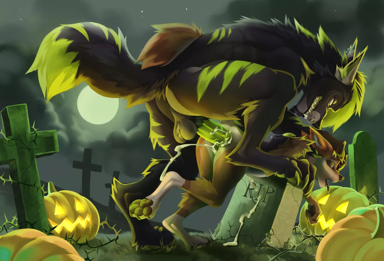 Cemetery (Drmax)