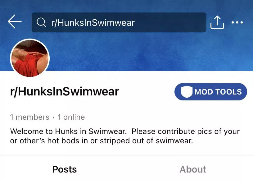 Check out new r/HunksInSwimwear subreddit.