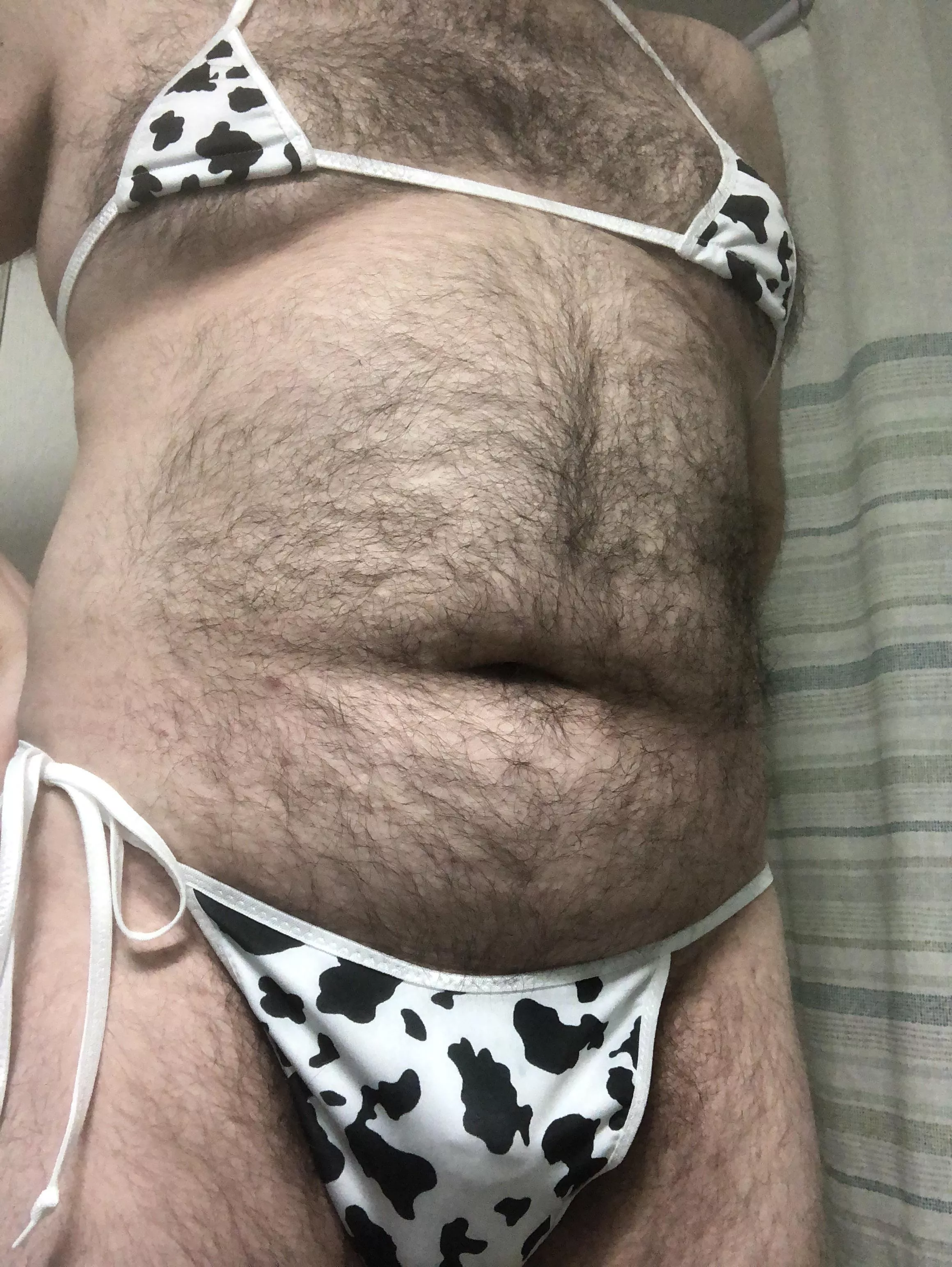 Chubby cow looking for a bull ðŸ®