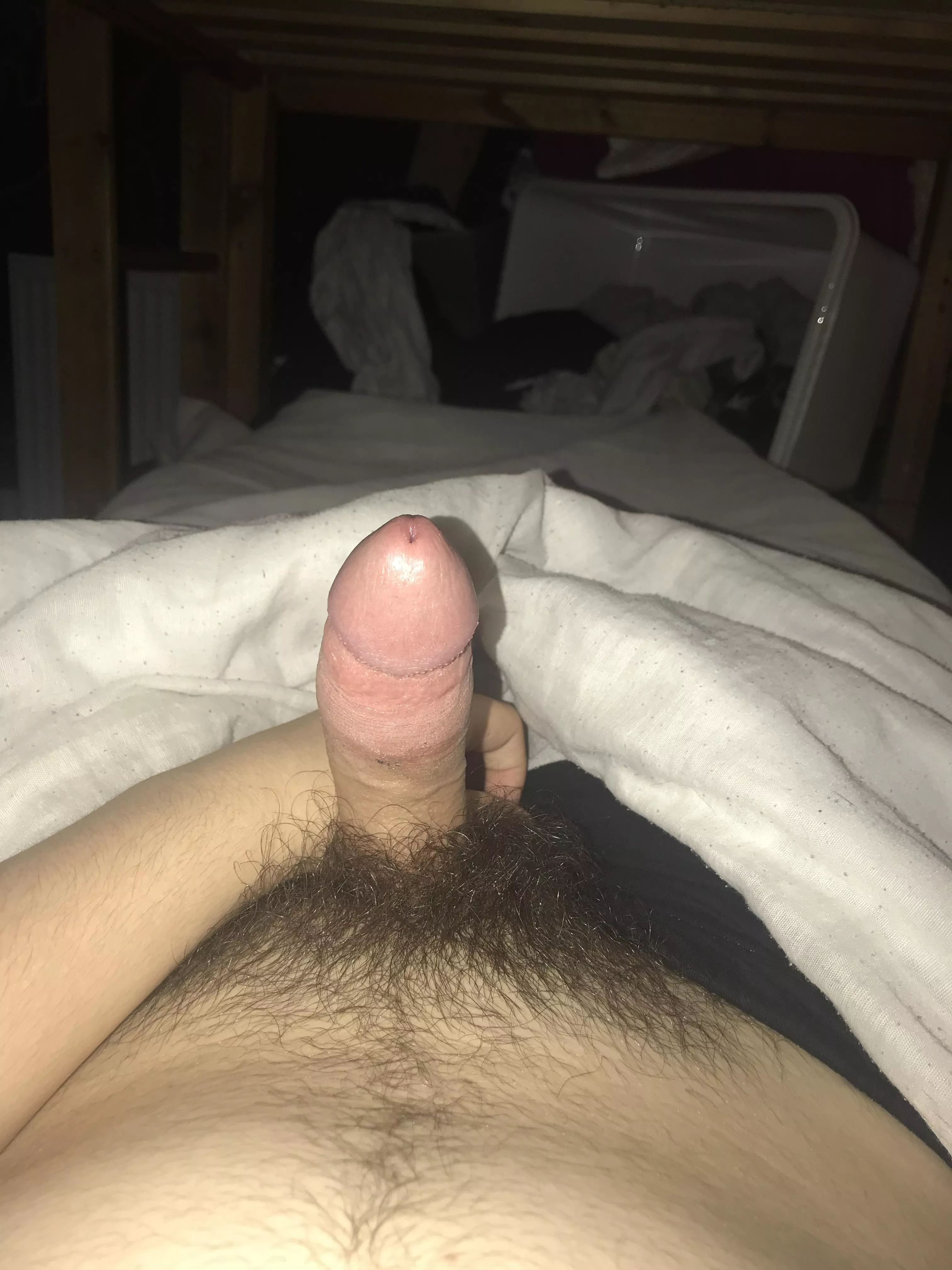 Chubs dm me if u like my cock