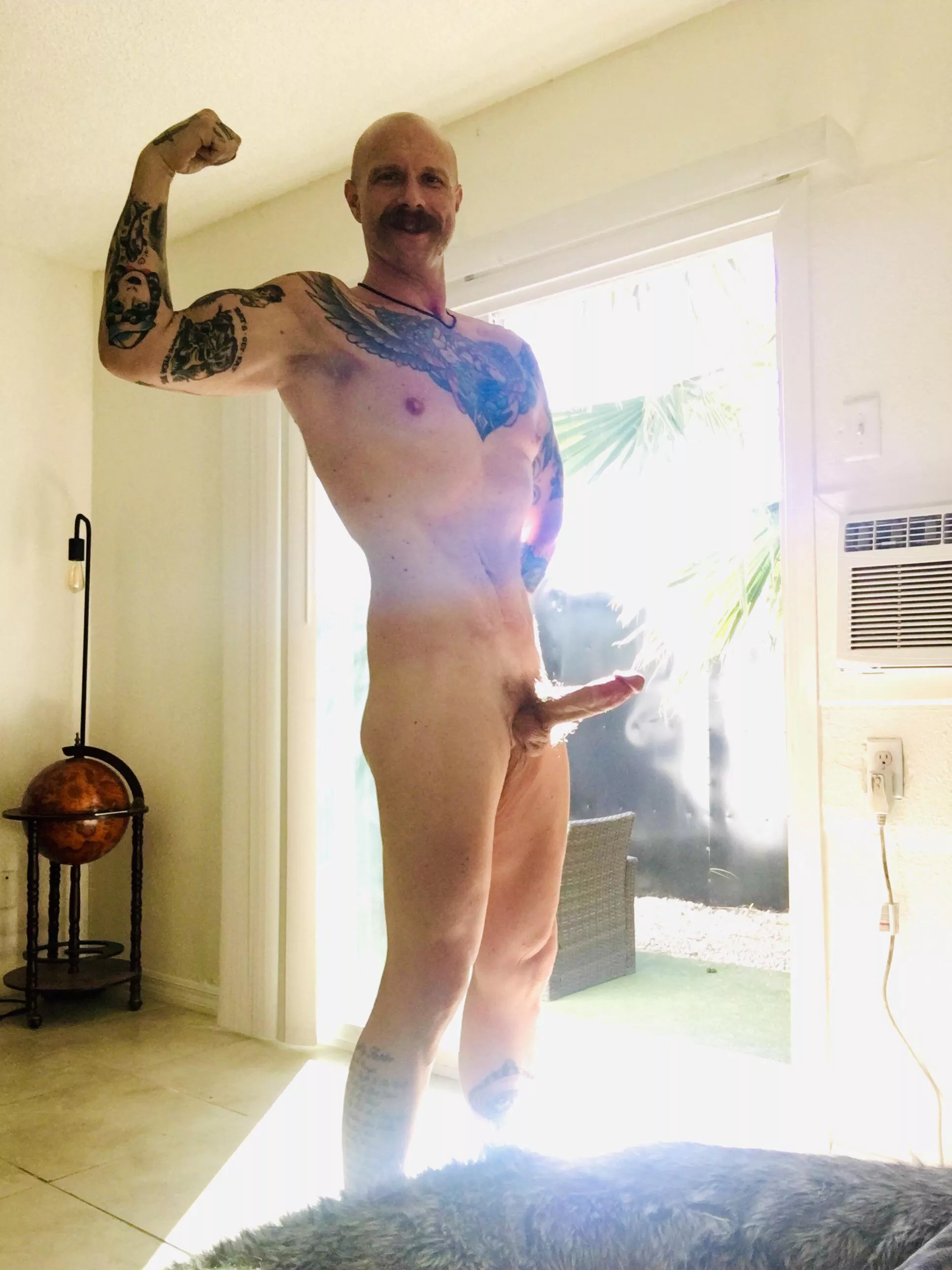 Cock by sunlight