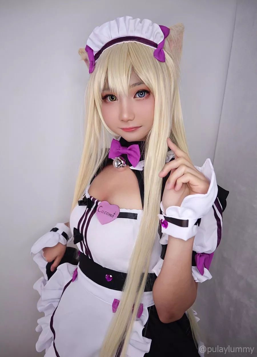 Coconut from Nekopara by Pulay