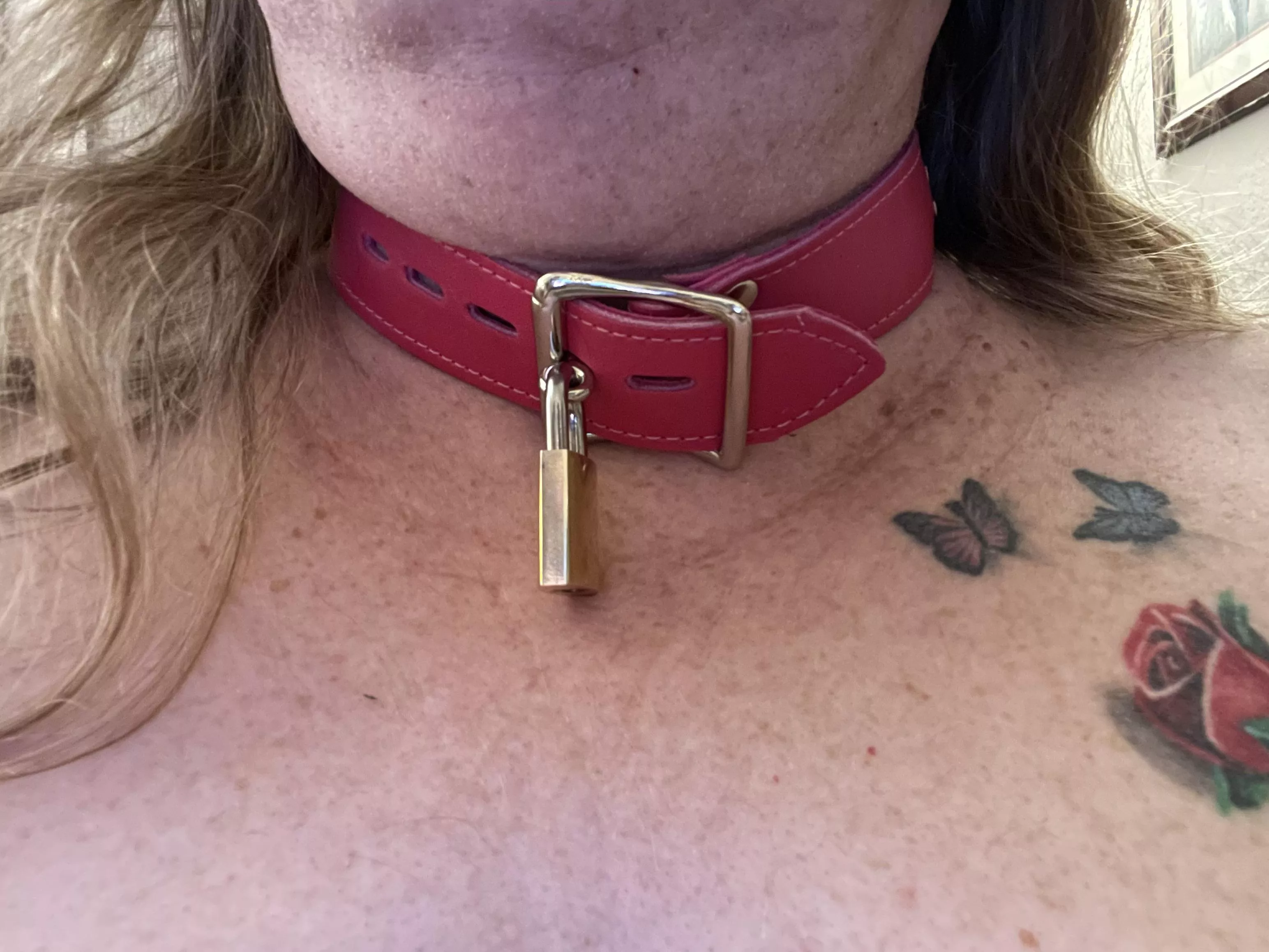 Collared and locked!