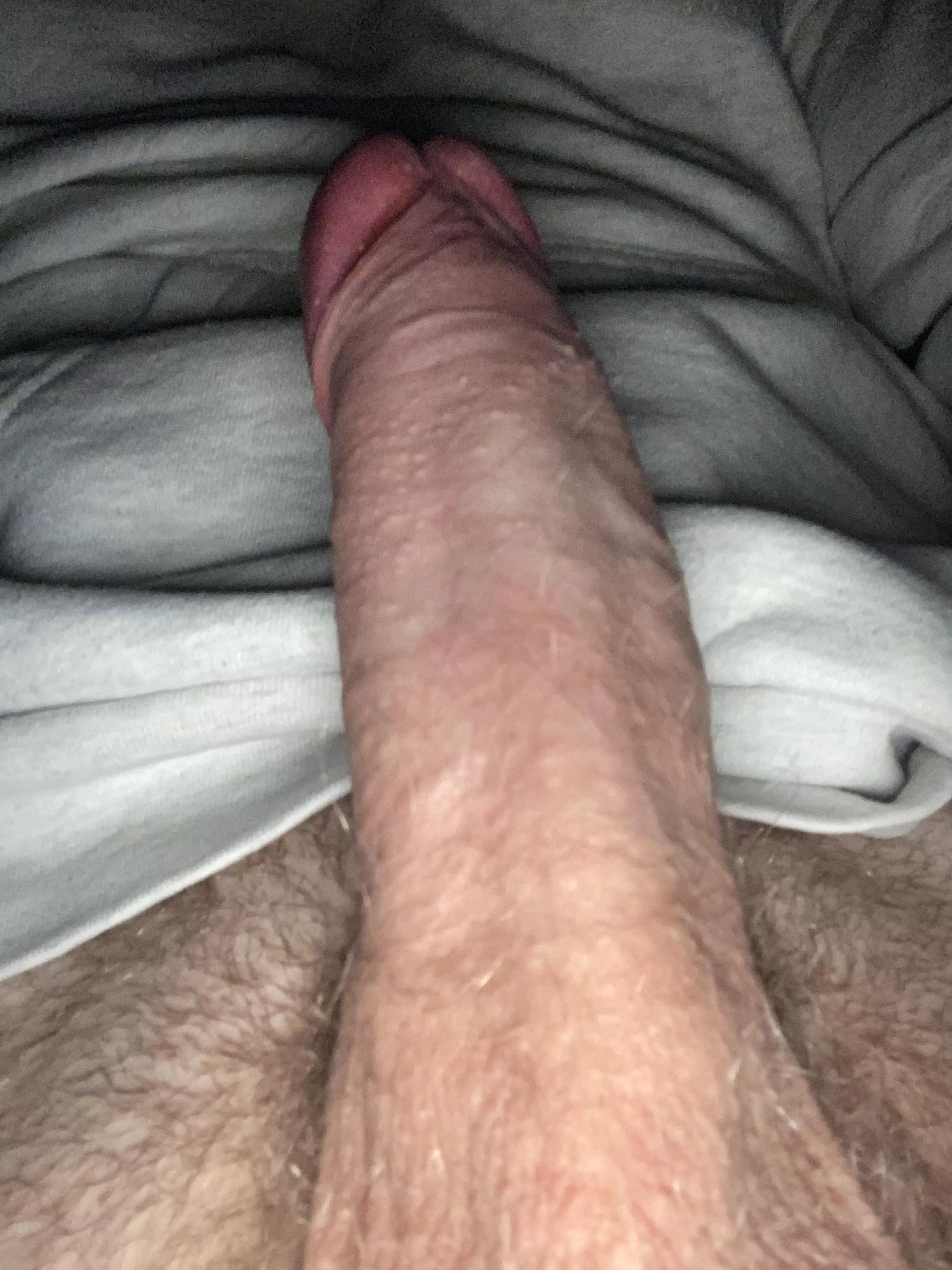 Come play with my huge dick