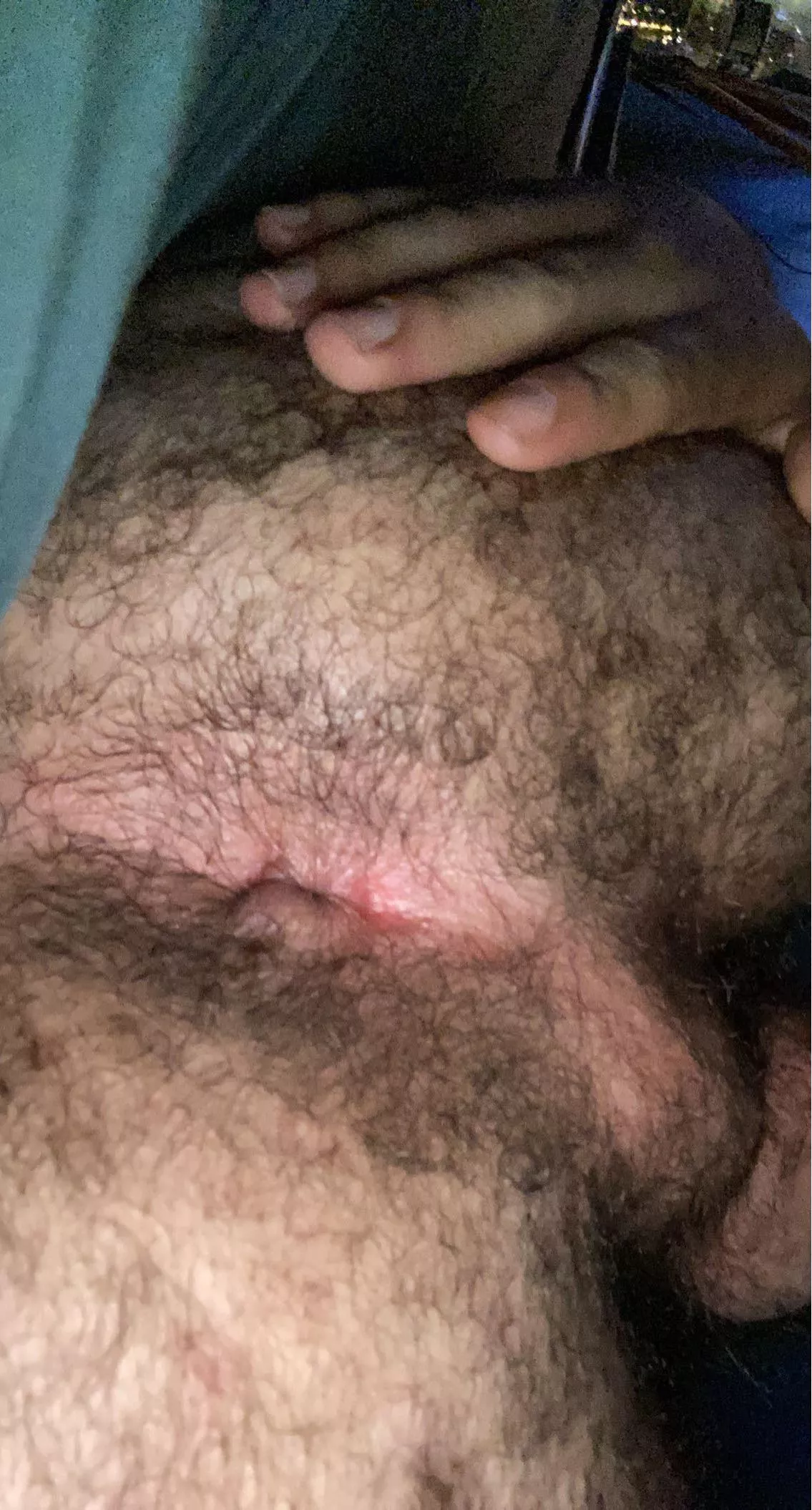 Come sniff and fuck my hairy hole