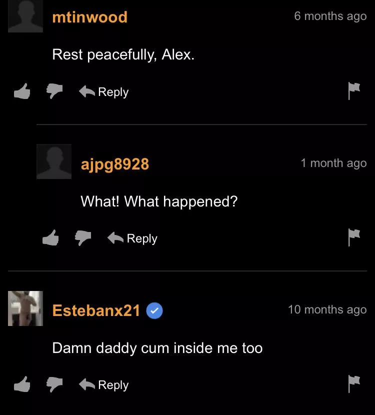 Context It’s gay porn