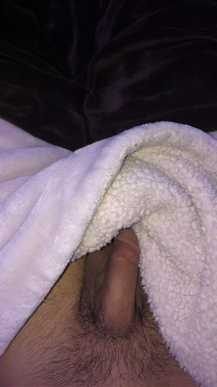 crawl under the sheets and play w my cock