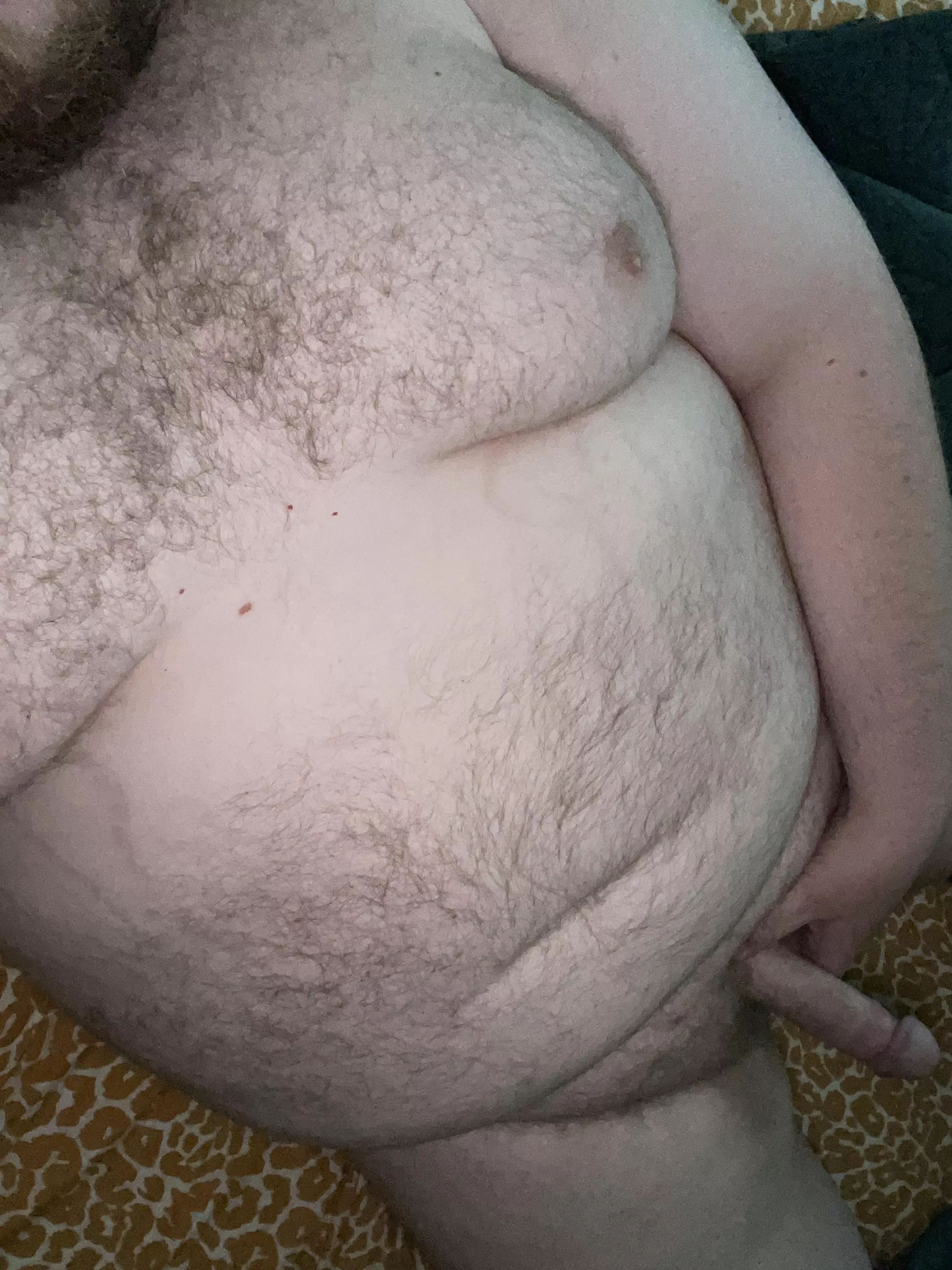 Curious chub looking to get off with you