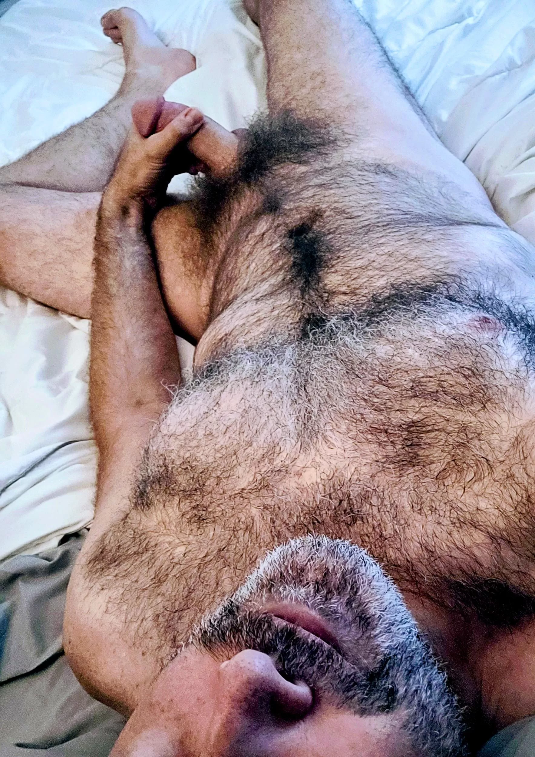 Dad fur and morning wood ðŸ˜Ž