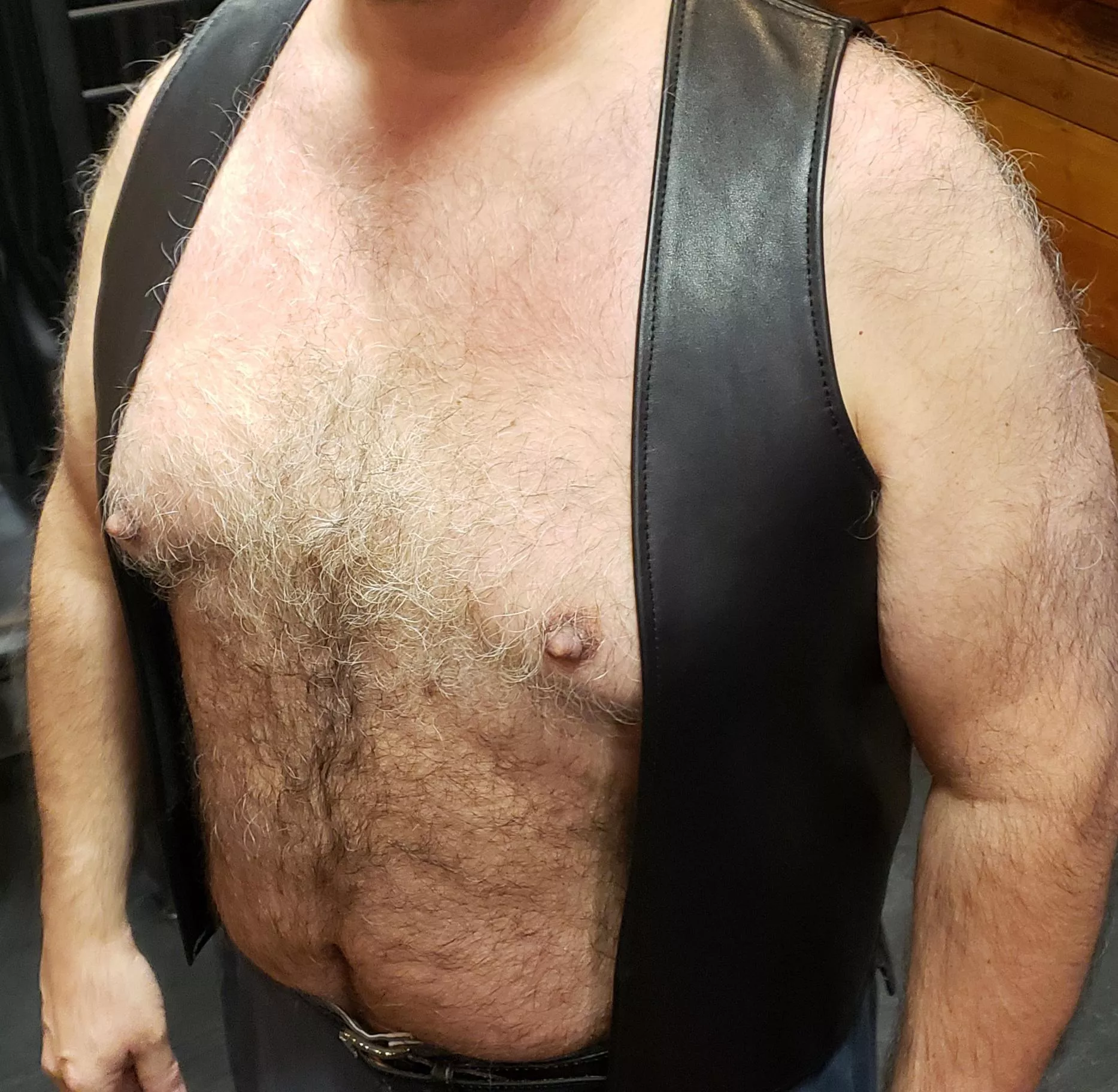 Daddy bear (52) seeking cub (25-40) for LTR