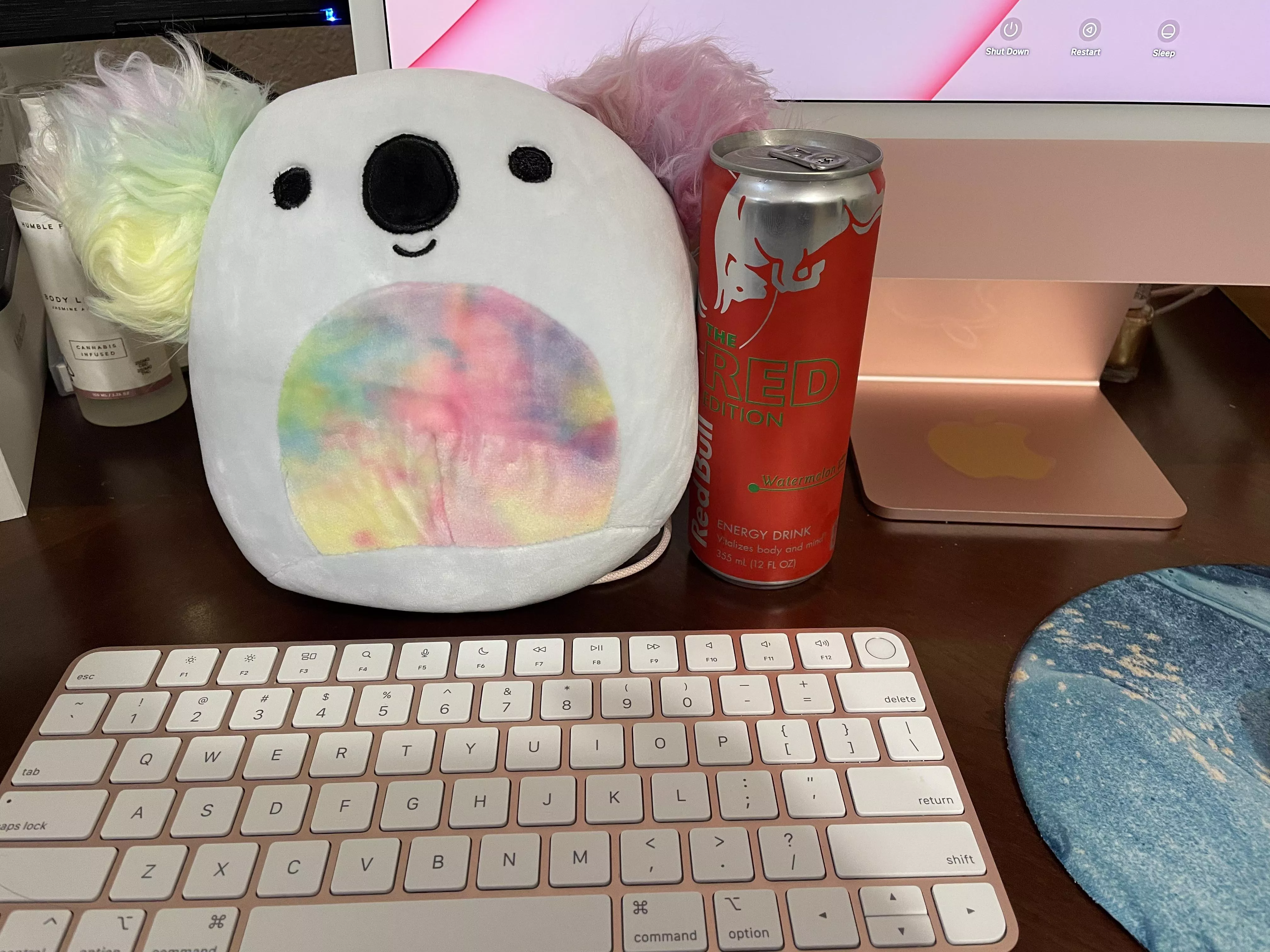 Daddy got me a koala and energy drink to help with my homework 💜 i luv him 🥰😘