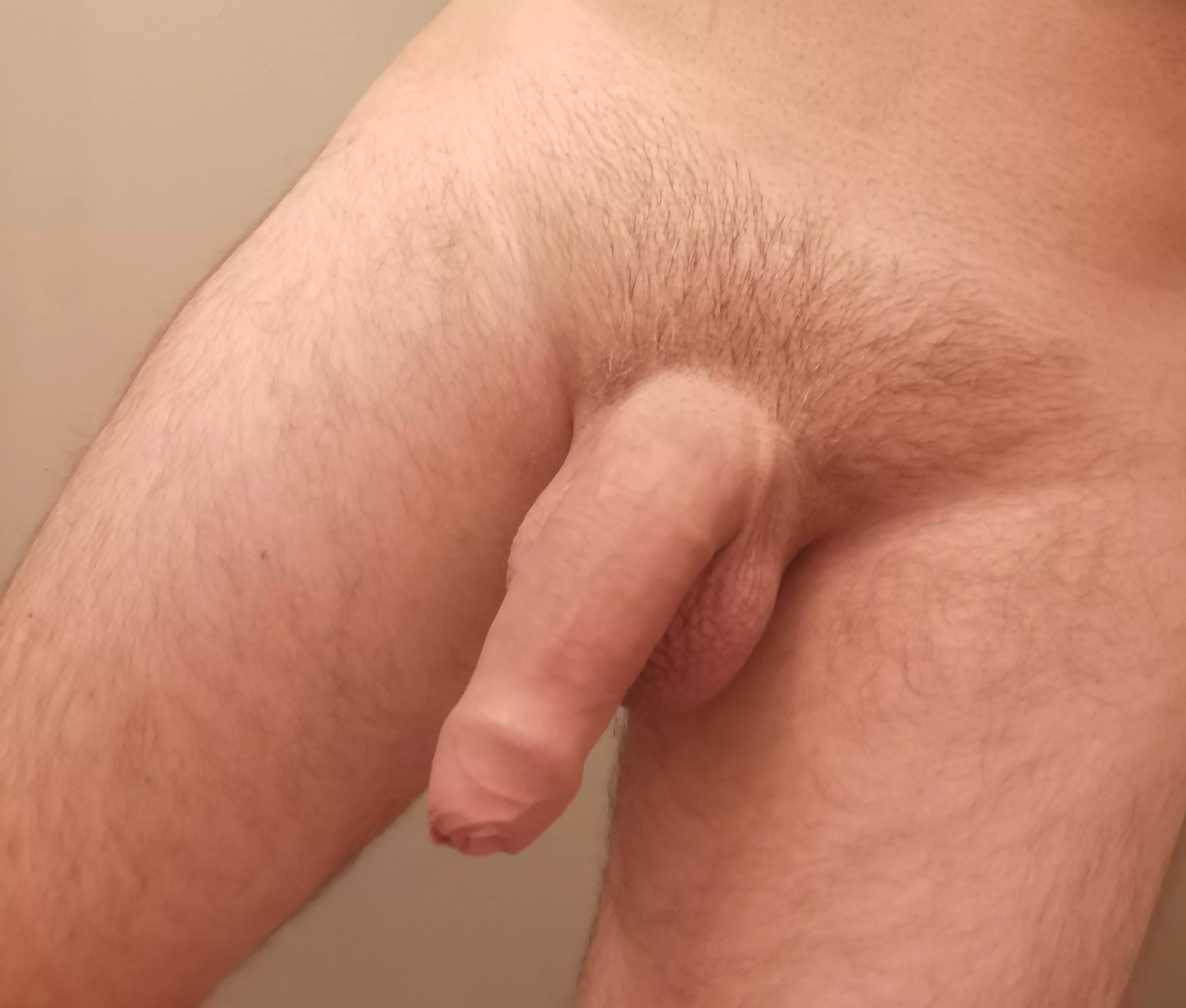 Dads uncut groomed cock