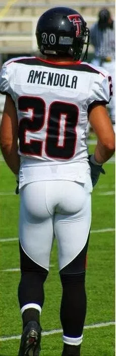 Danny Amendola