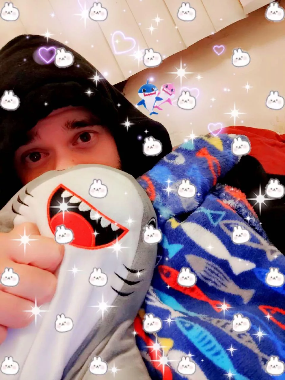 ðŸ’–danny and sharky want wittle fwiendsðŸ’–