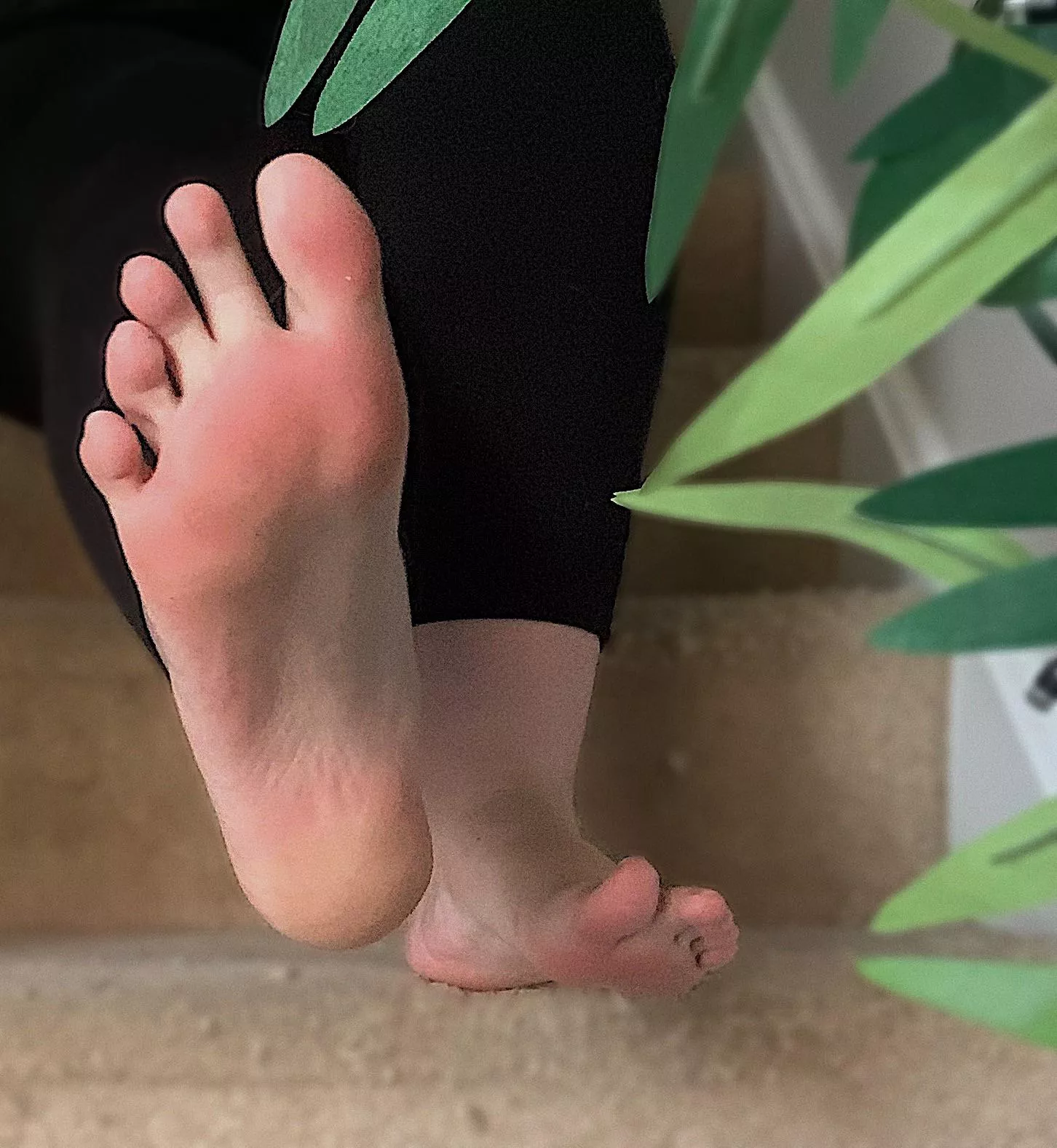 Describe my feet using only one word 🥰