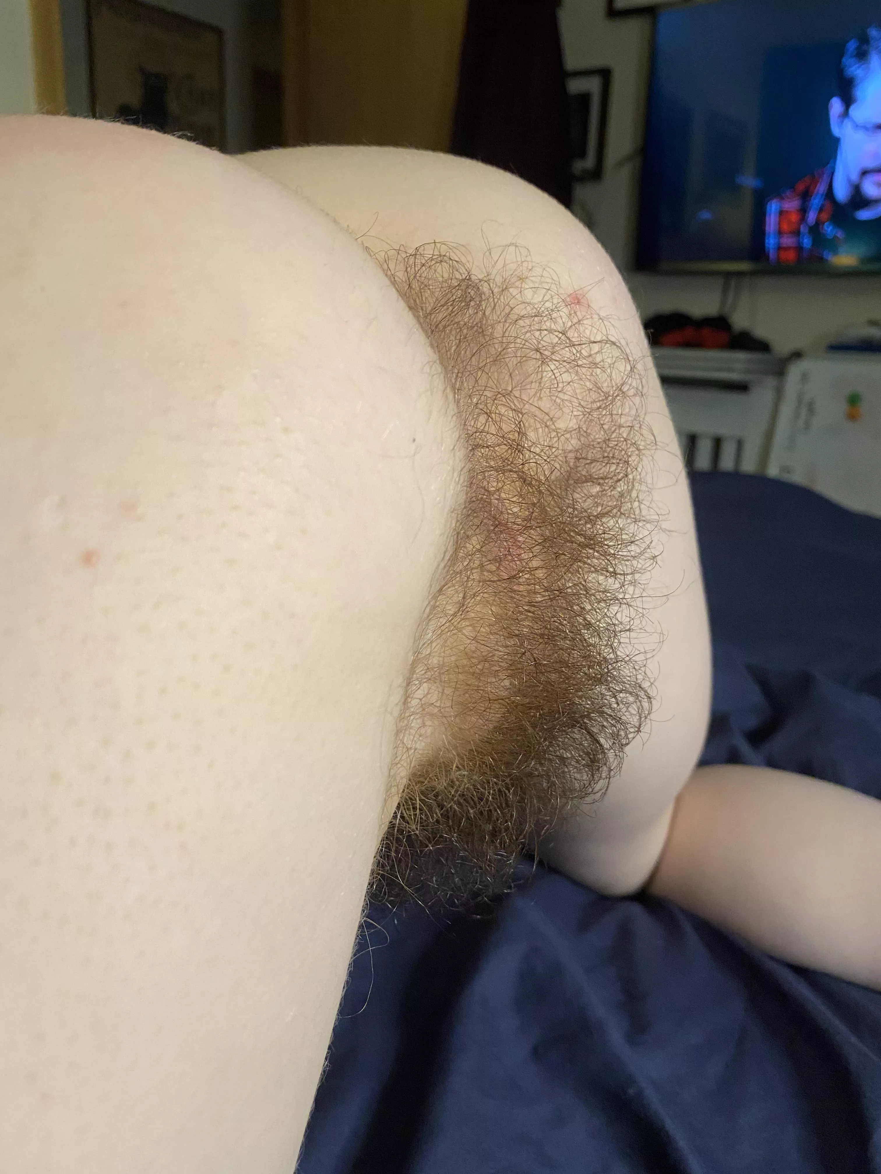 Do you like my hairy ass?