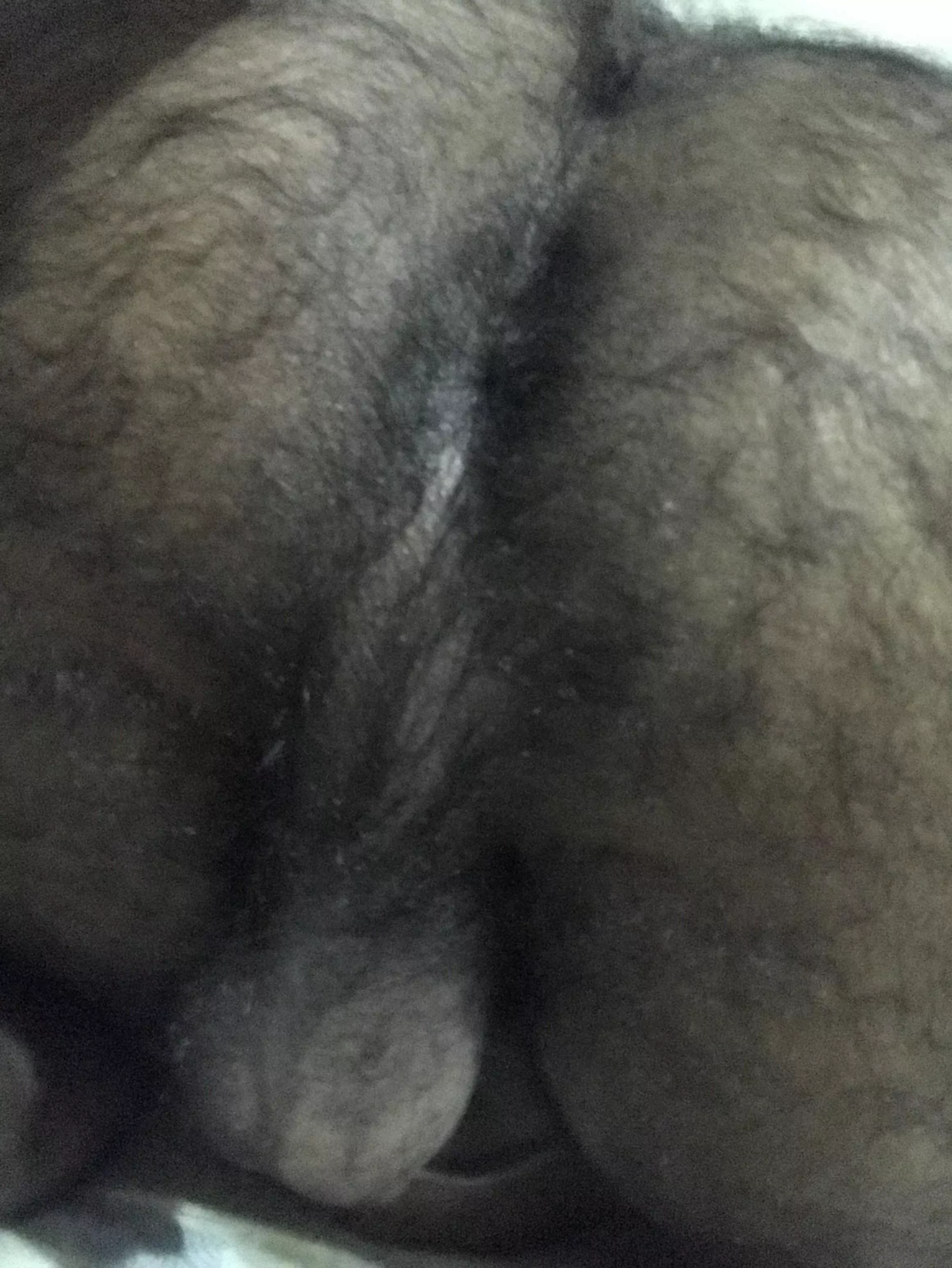 Do you like my hairy Muslim behind?