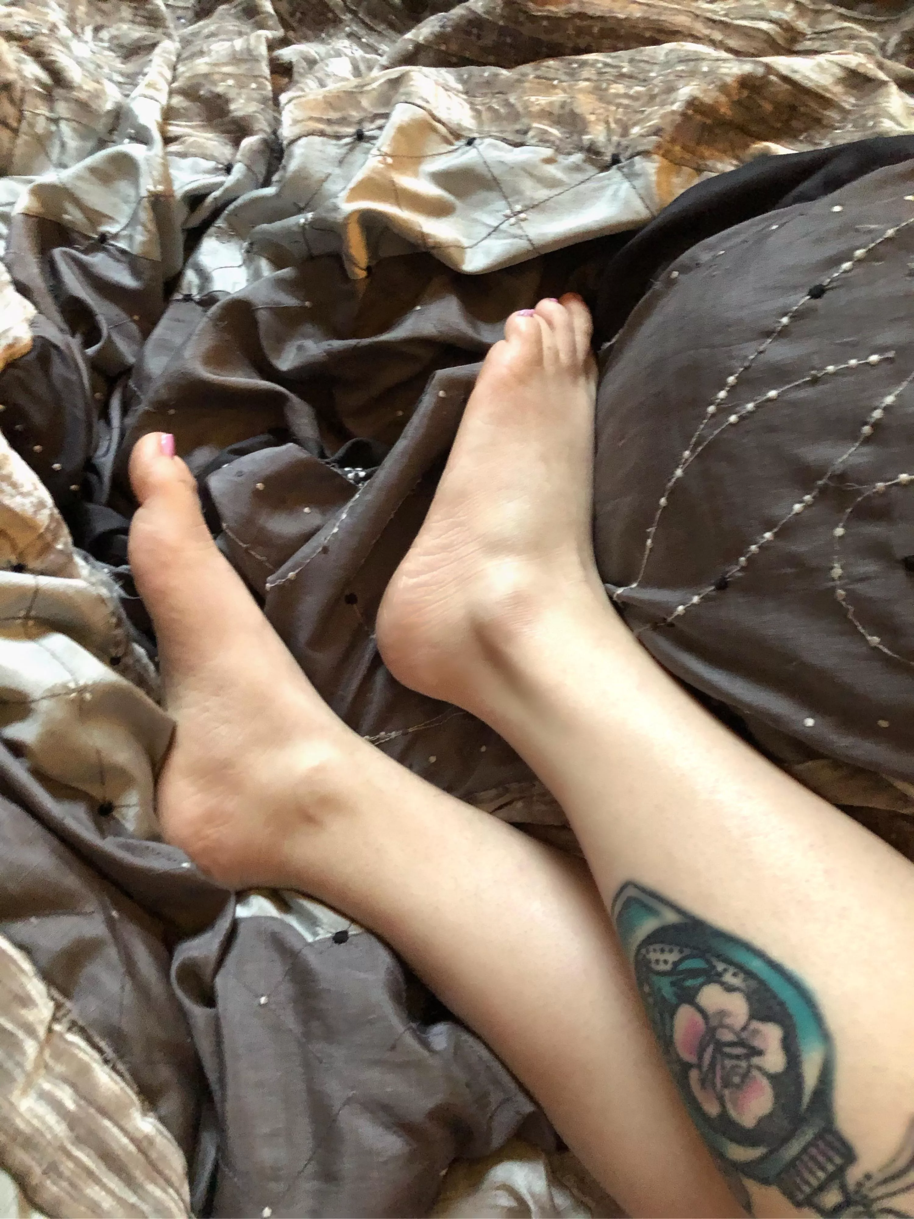 Do you like my little feet?