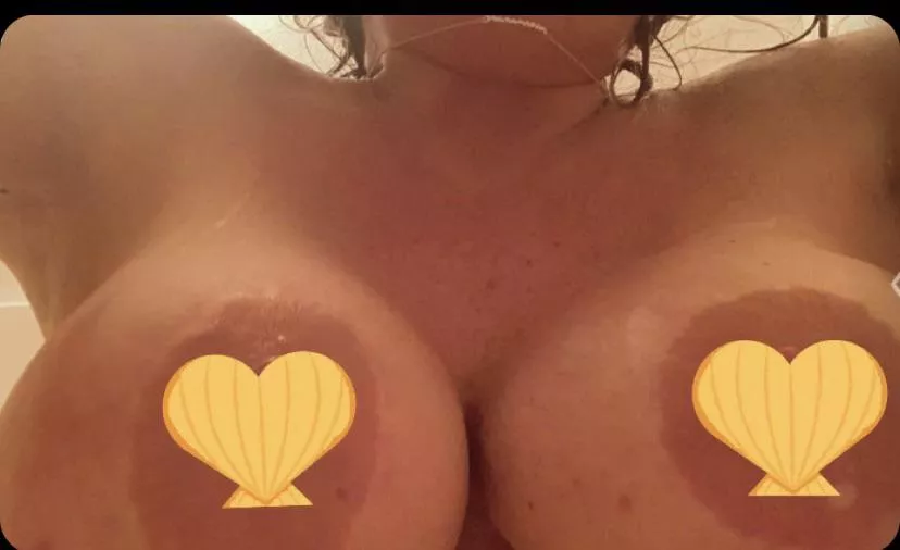 ðŸšDon't be shellous of my boobs!ðŸŒŠ