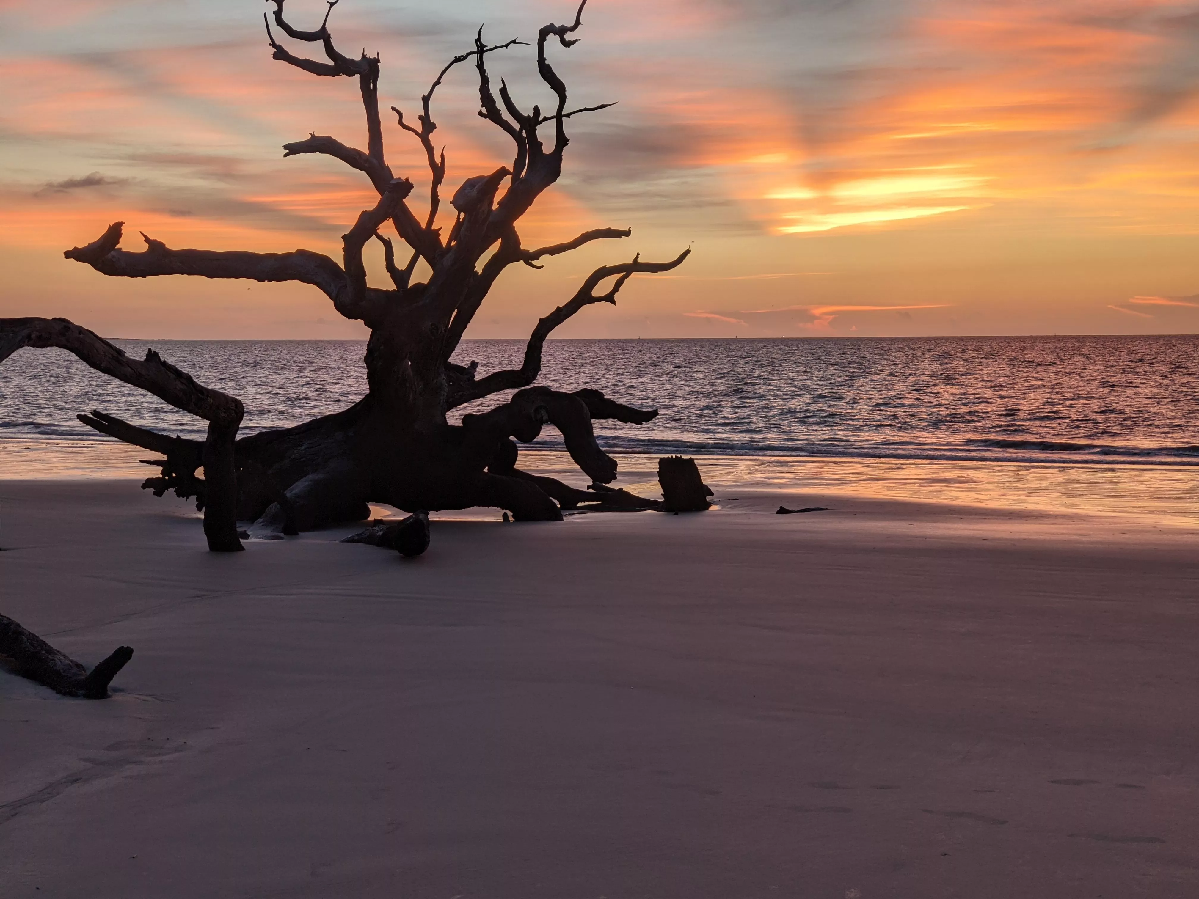 Driftwood Beach