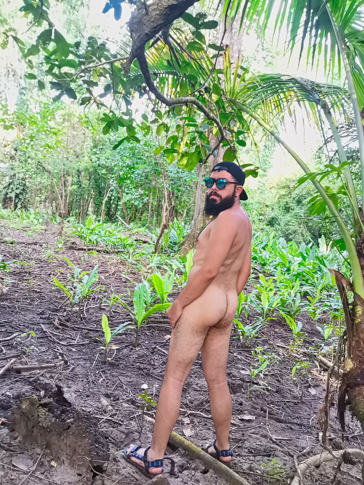 En el tropico