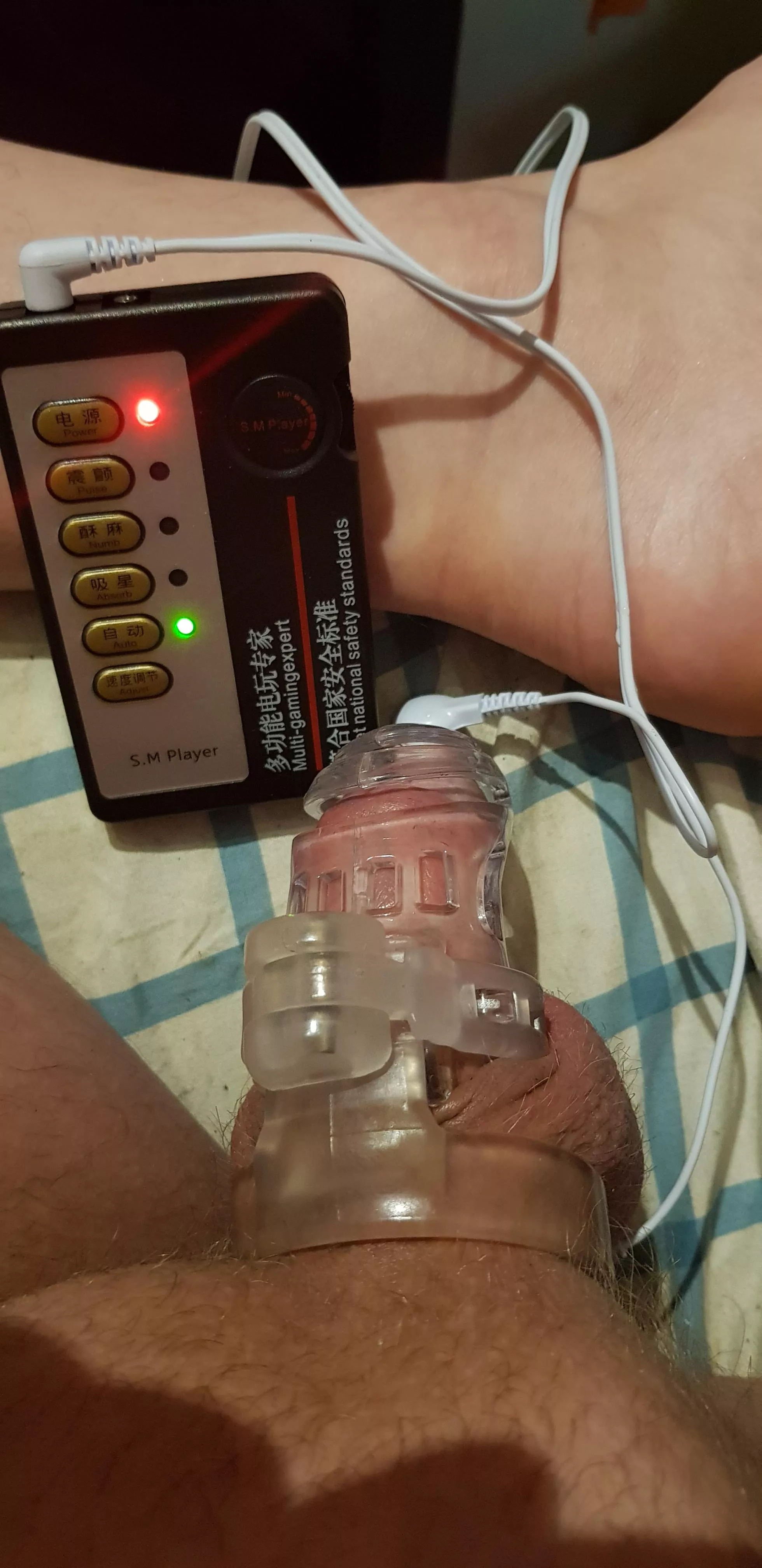 e-stim chastity