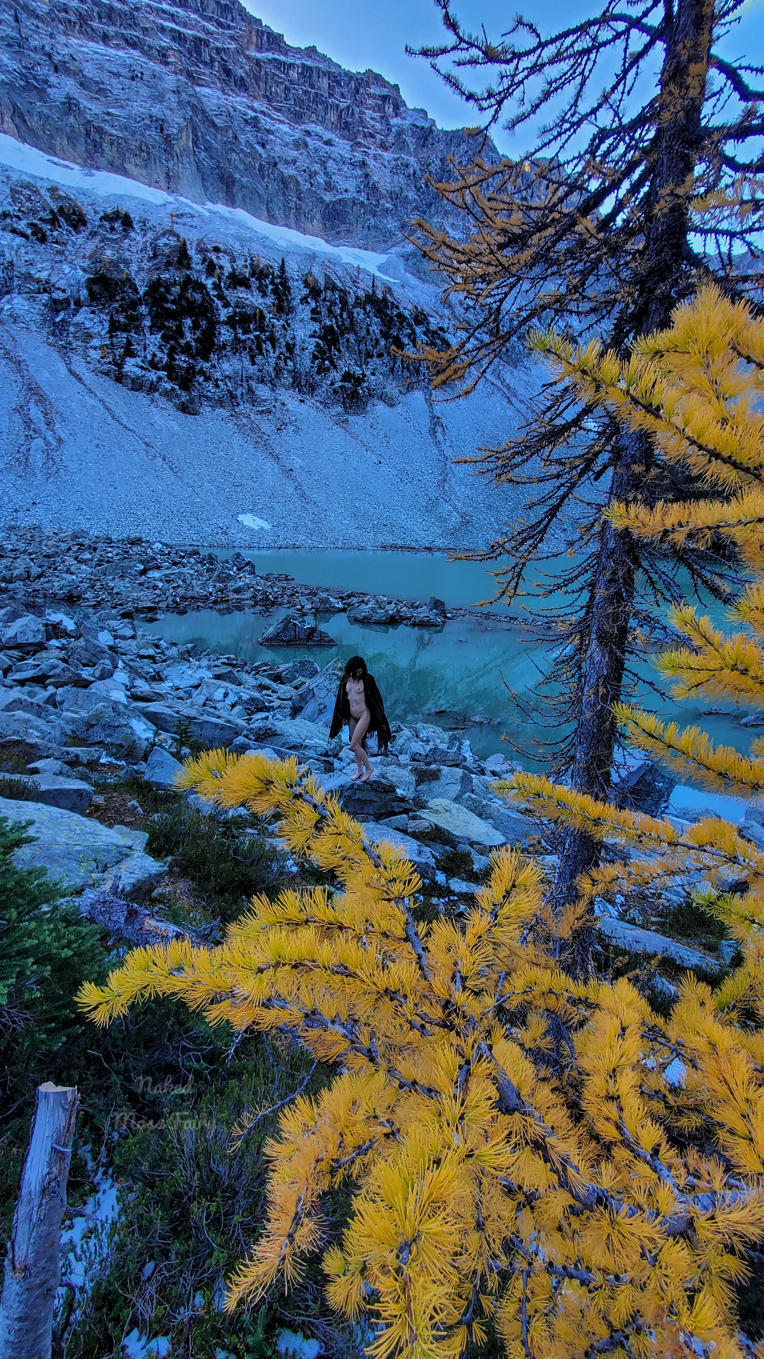 Even though it was freezing, I had to get naked with the Golden Larches!ðŸ˜‹ðŸ’›