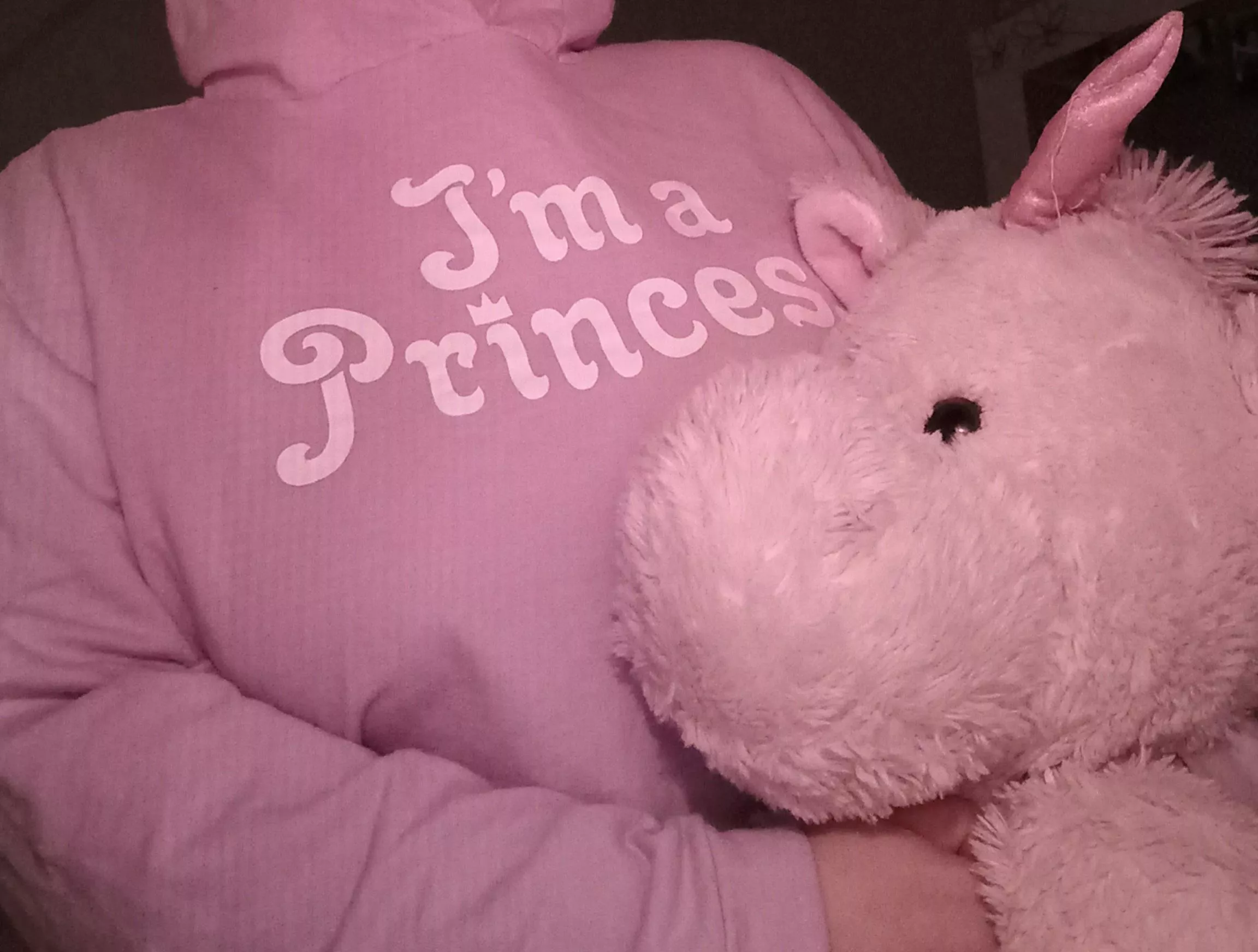 Every princess needs a pink unicorn