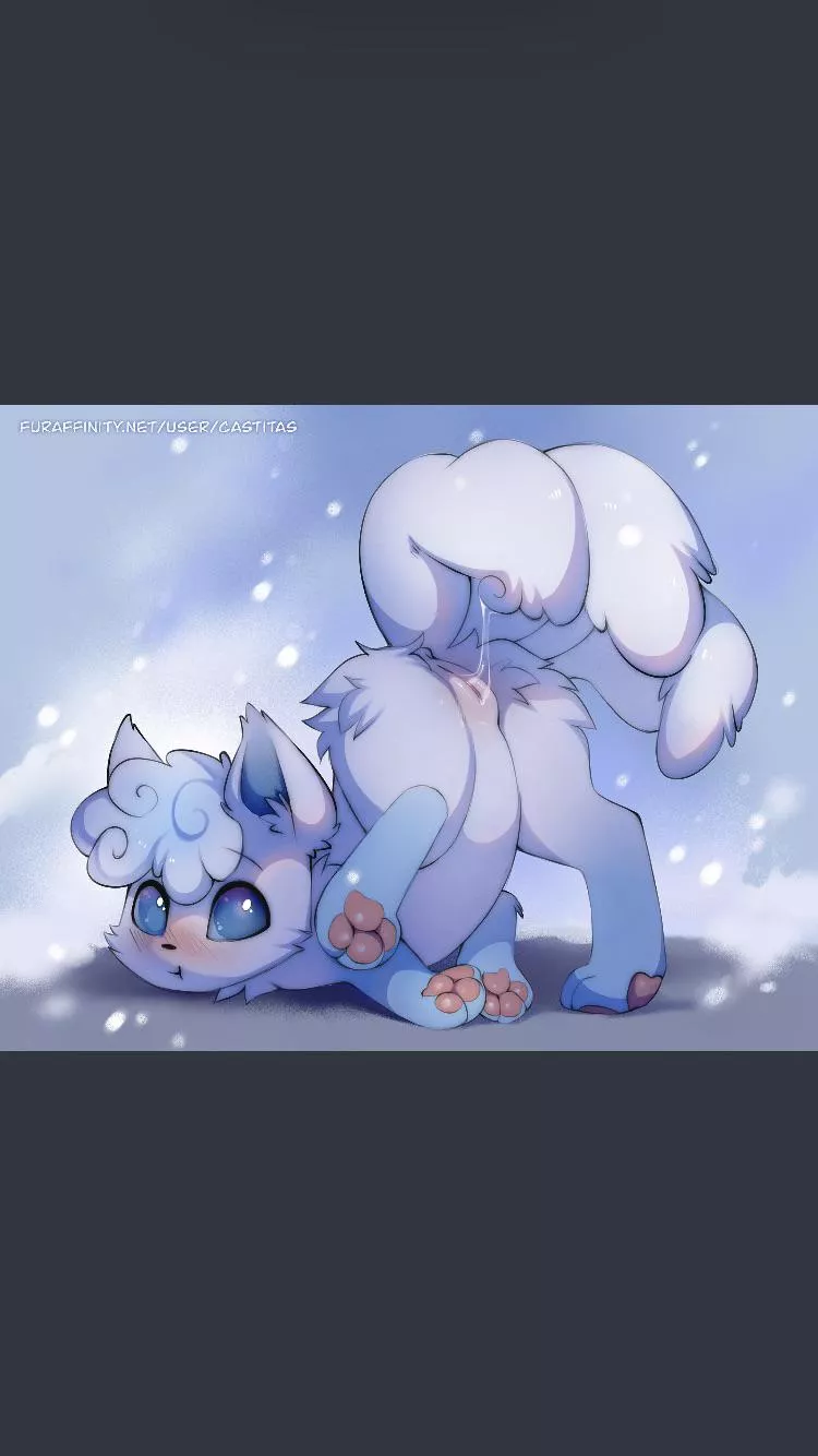 [F] (Castitas) aloan vulpix looks so adorable ðŸ¥°