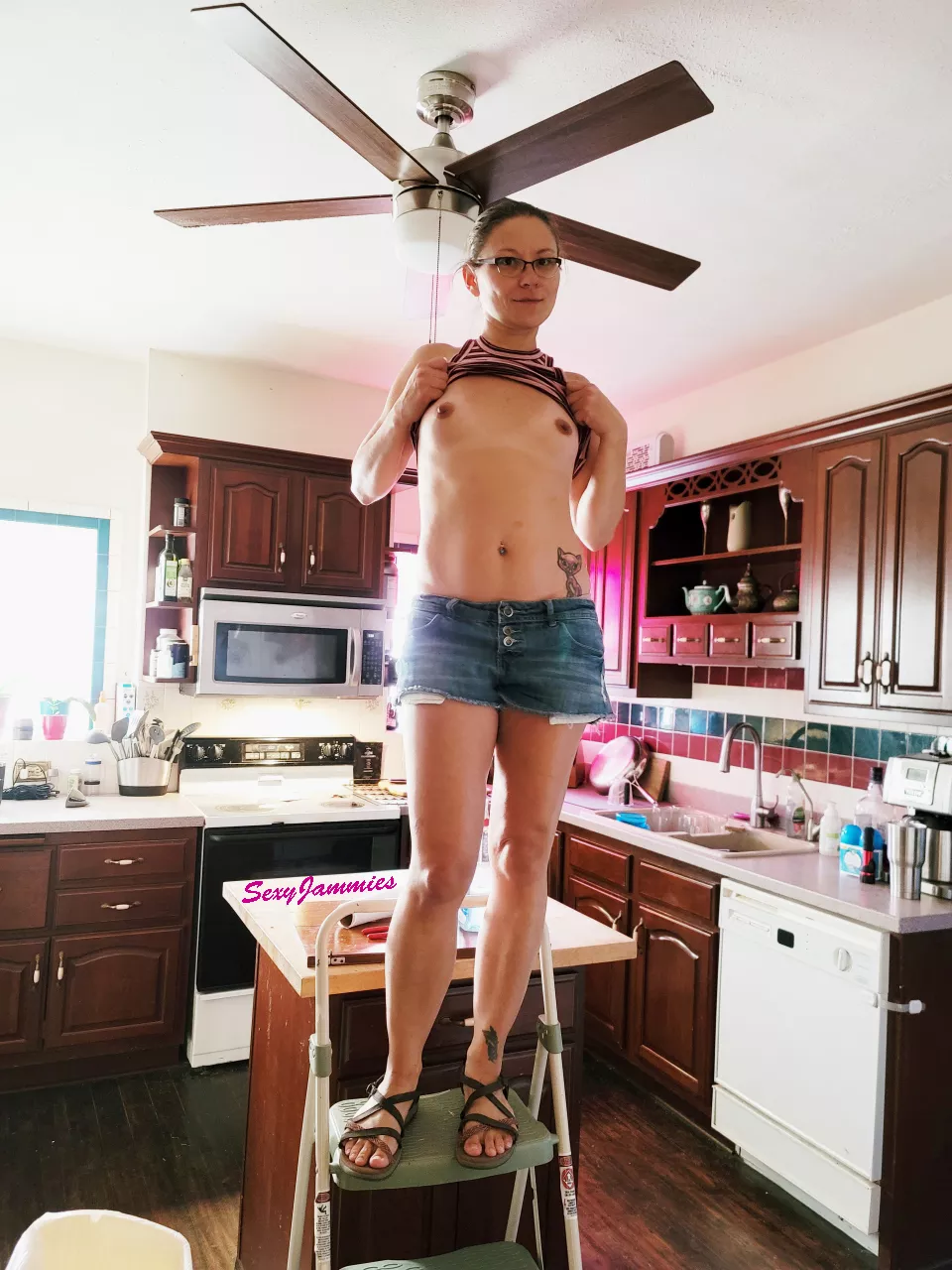 [F] Making cleaning the ceiling fans a bit more interesting