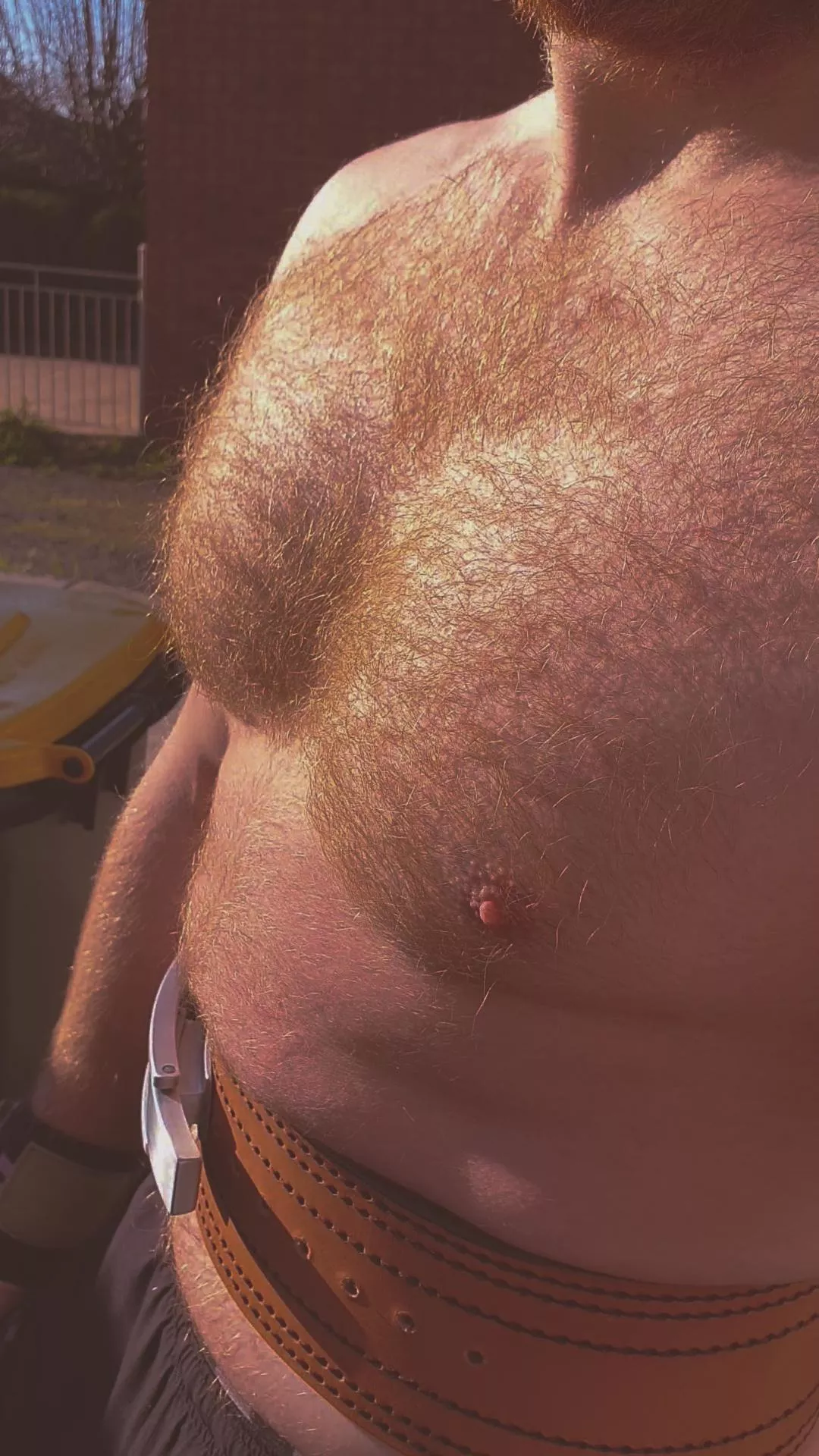 Fans of ginger chest hair?