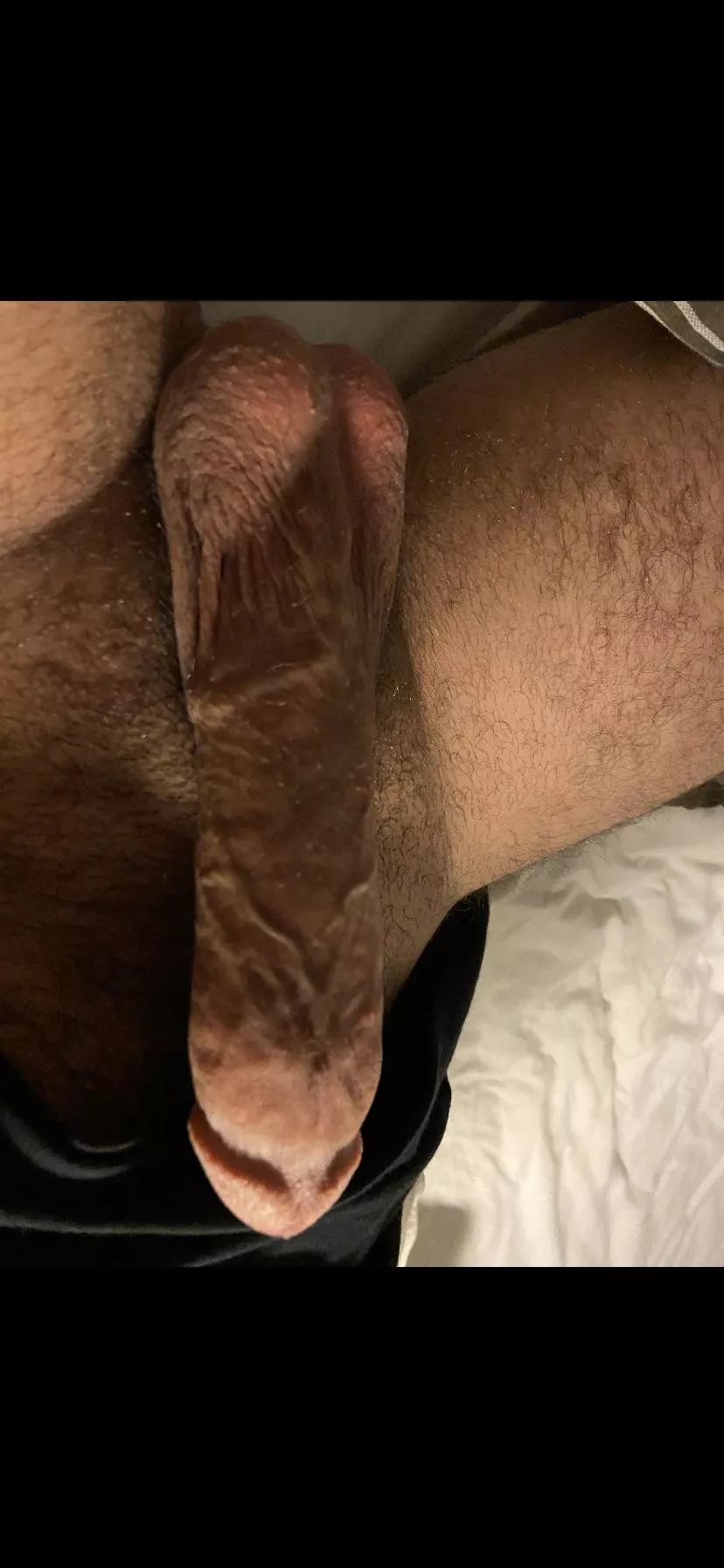 Fat thanksgiving cock here (m)