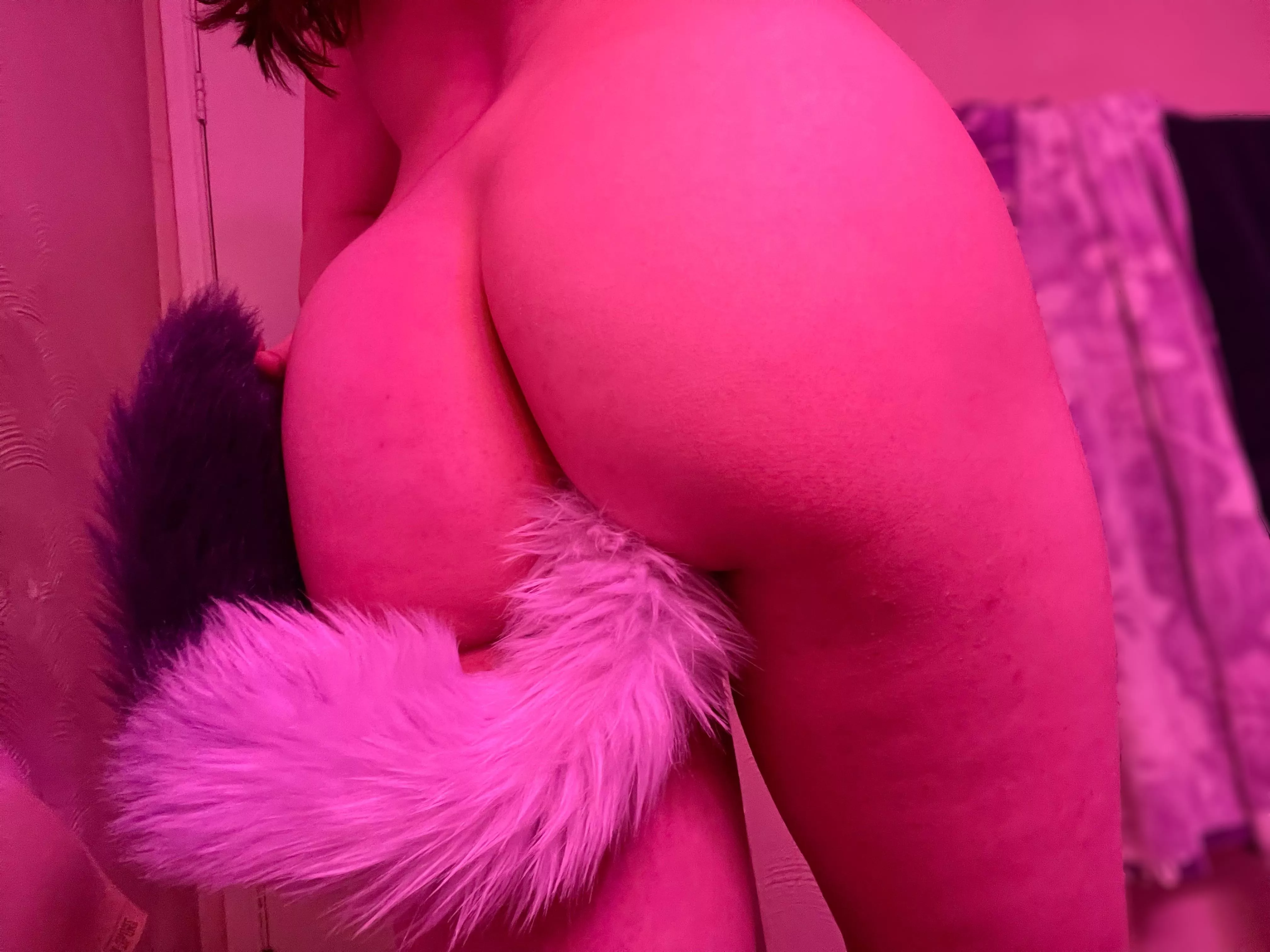 Feeling cute with my tail