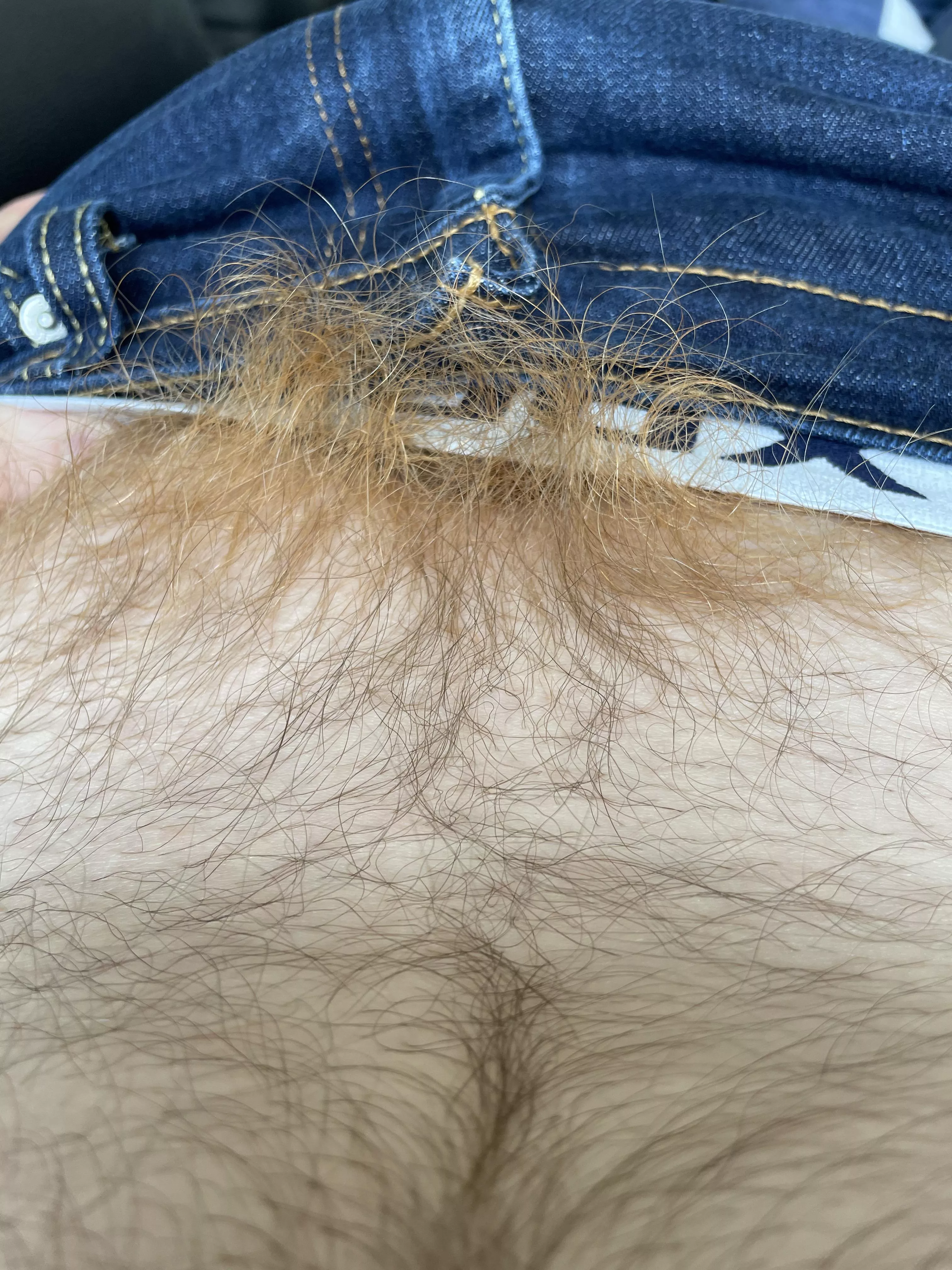 First post. Hereâ€™s a peak of my hairy pubey fire crotch