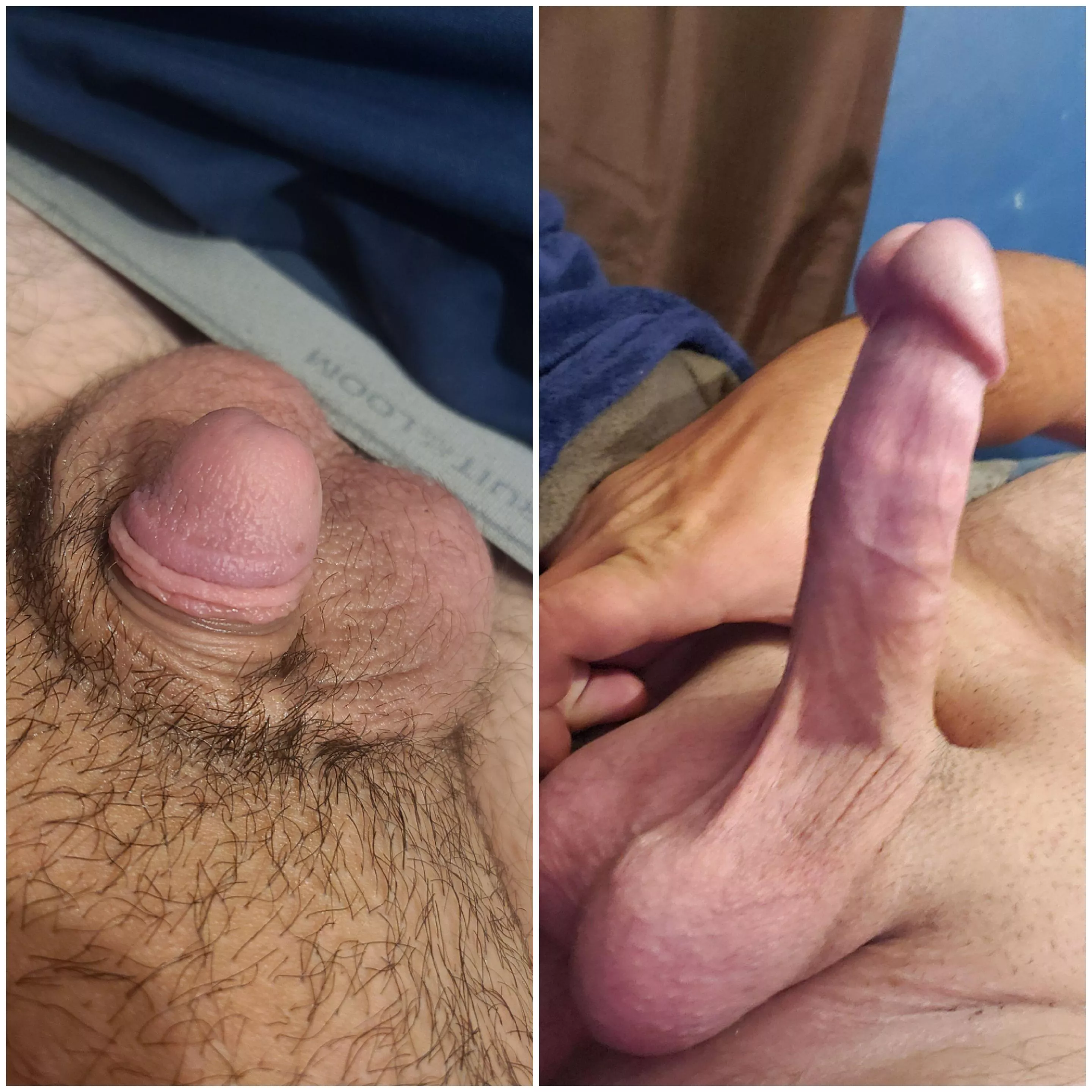 Flaccid to Hard. What do yall think? (21)